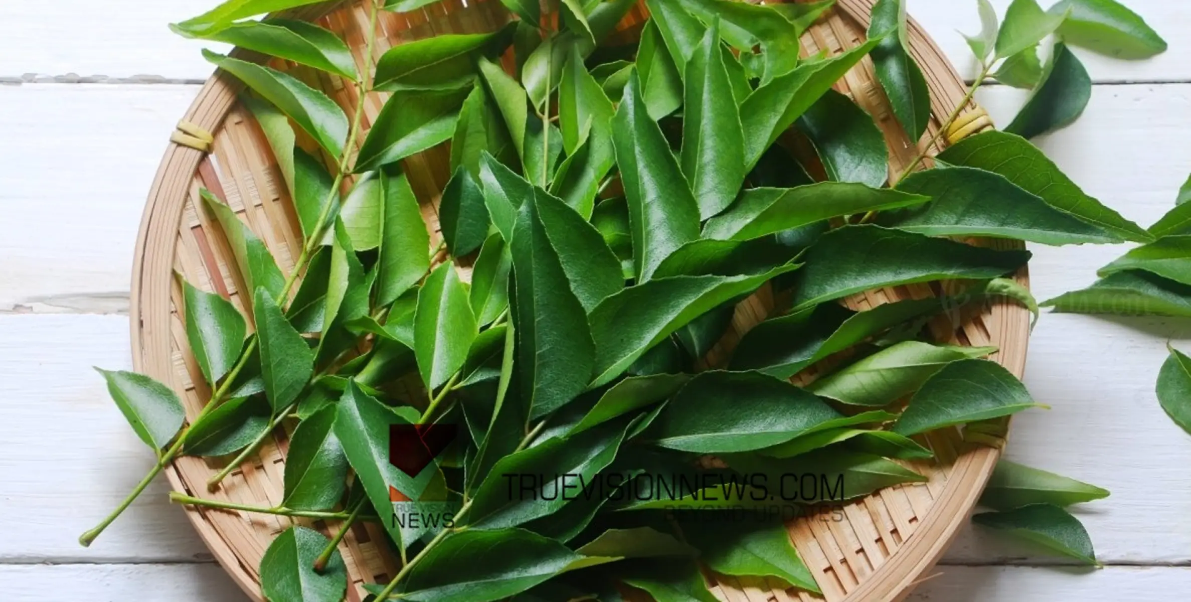 #cookery |കറിവേപ്പില ഉണങ്ങിയാല്‍ വെറുതെ കളയേണ്ട; ഇങ്ങനെ ഒന്ന് ചെയ്തുനോക്കൂ... 