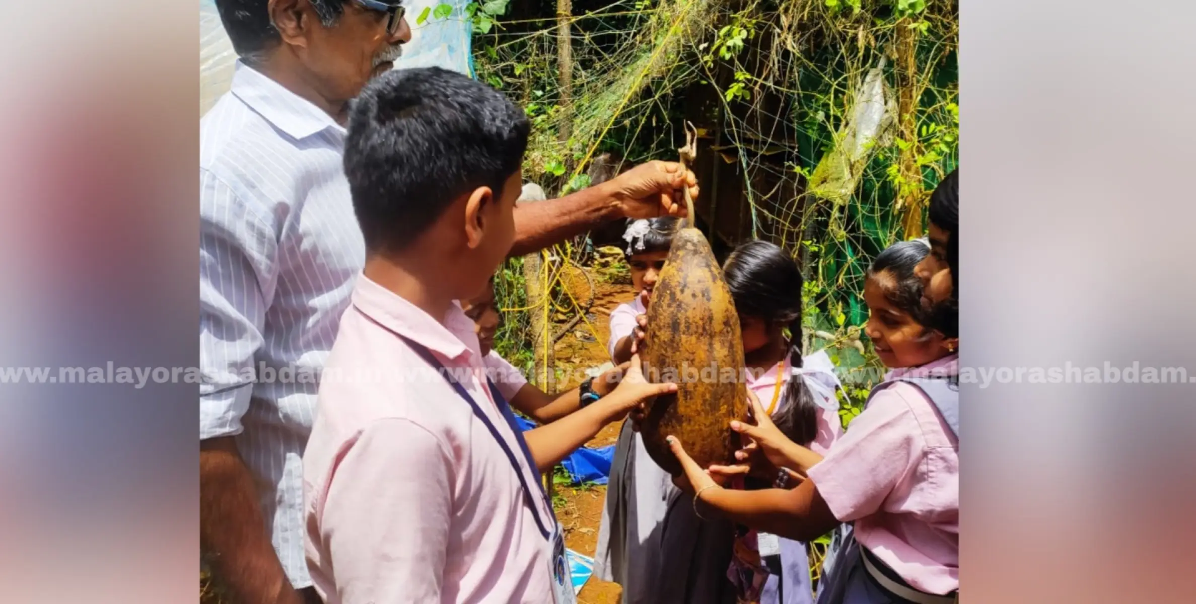 #kolithattu | കോളിത്തട്ട് ഗവ എൽ പി സ്കൂളിൽ കർഷകദിനം ആചരിച്ചു