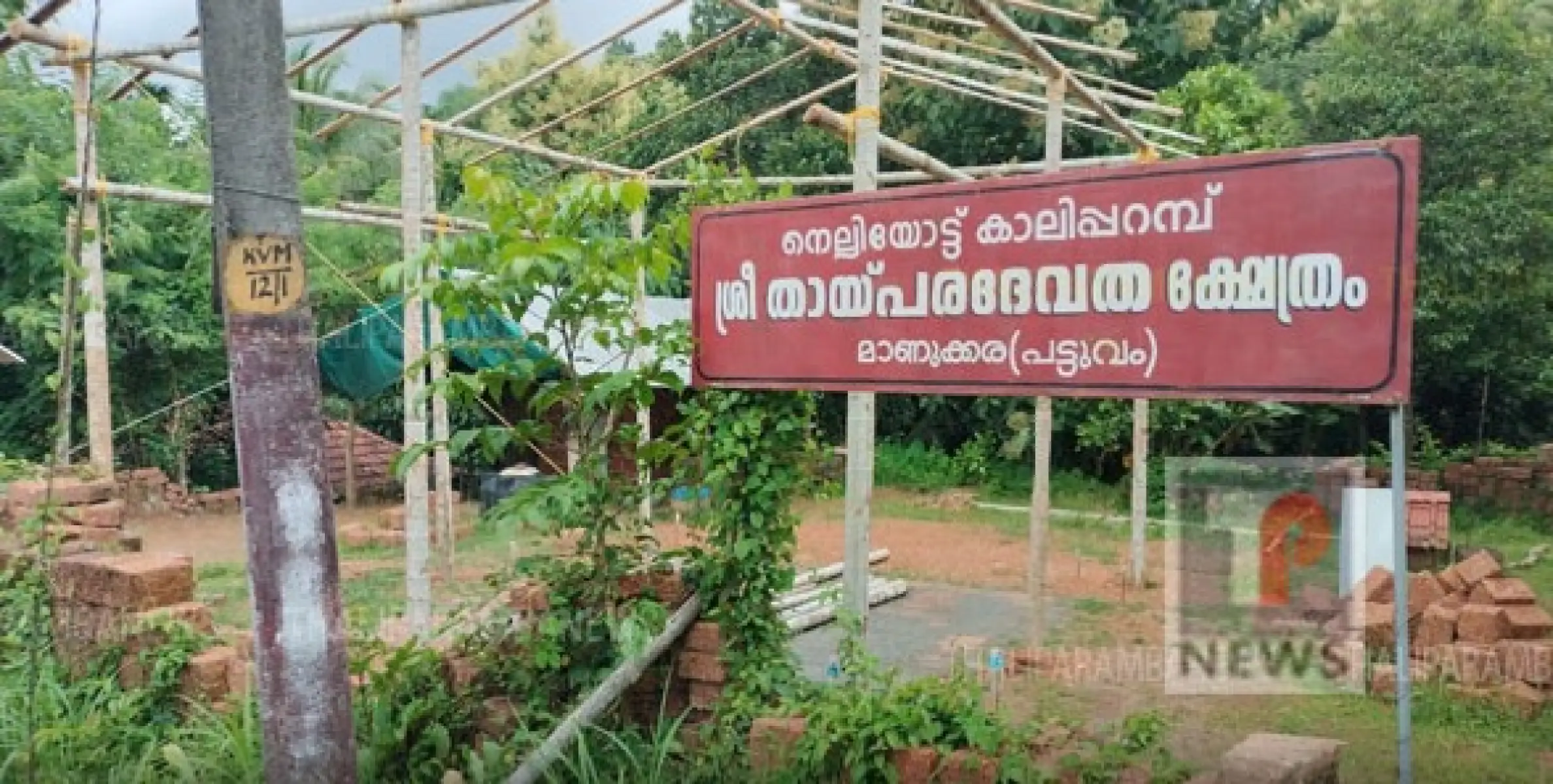 പട്ടുവം നെല്ലിയോട്ട് കാലിപ്പറമ്പ് തായ്പരദേവത ക്ഷേത്രത്തിൽ കവർച്ച