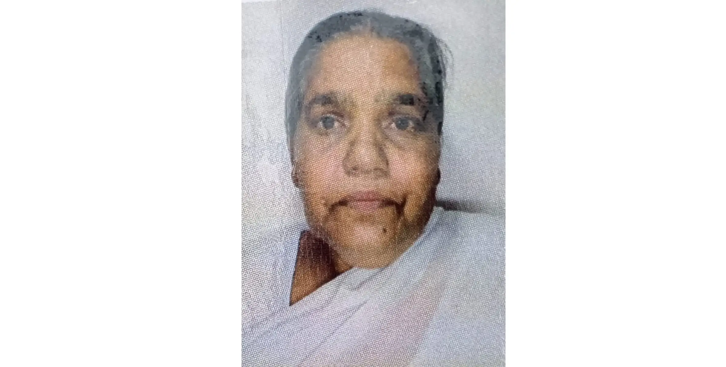 ചോറപ്പൻ മീനാക്ഷി അമ്മ നിര്യാതയായി