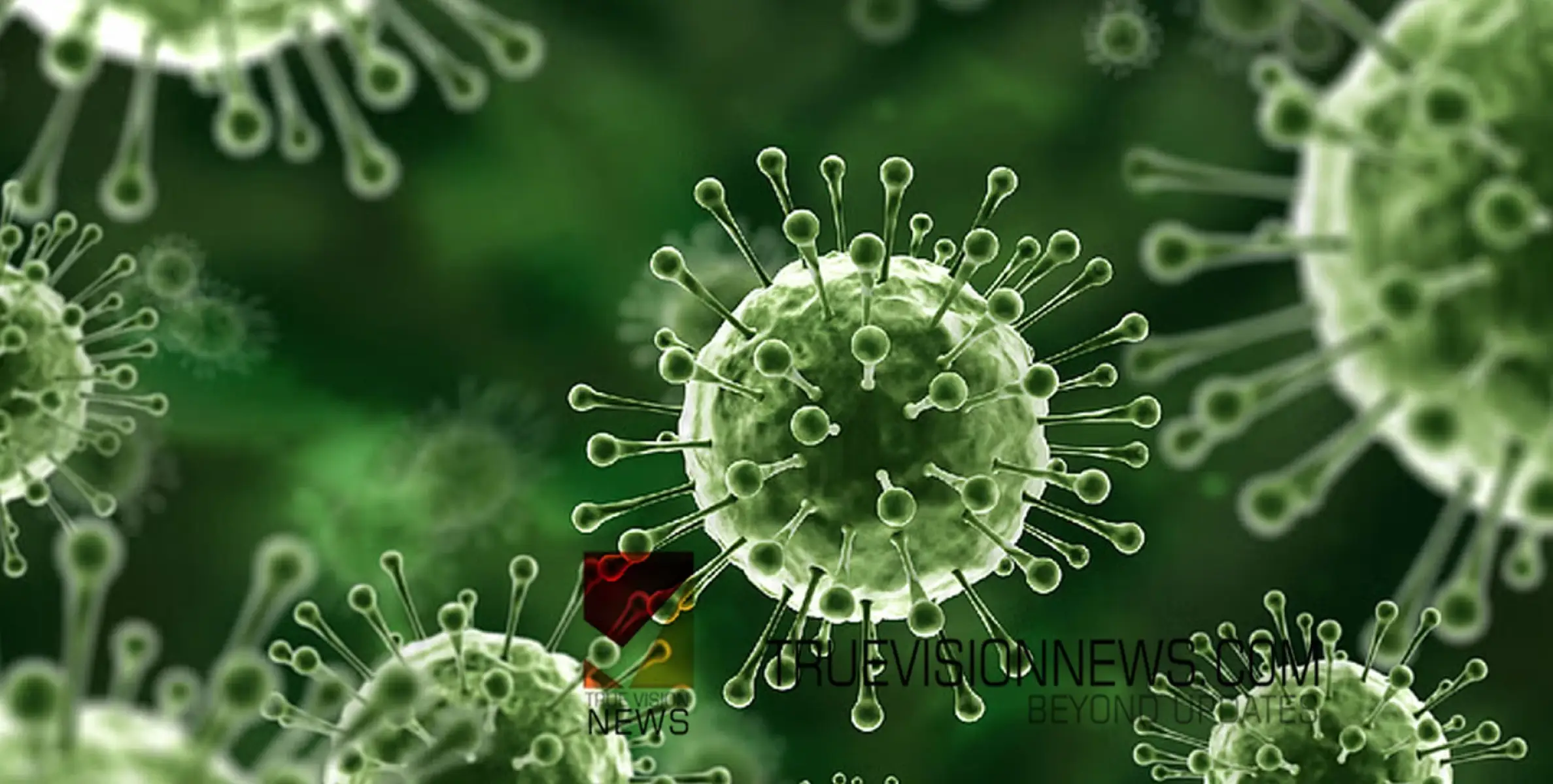 #nipahvirus |  നിപ സംശയം: ജില്ലയില്‍ അതീവ ജാഗ്രത, വീണാ ജോര്‍ജിന്റെ നേതൃത്വത്തില്‍ ഉന്നതതലയോഗം ചേര്‍ന്നു