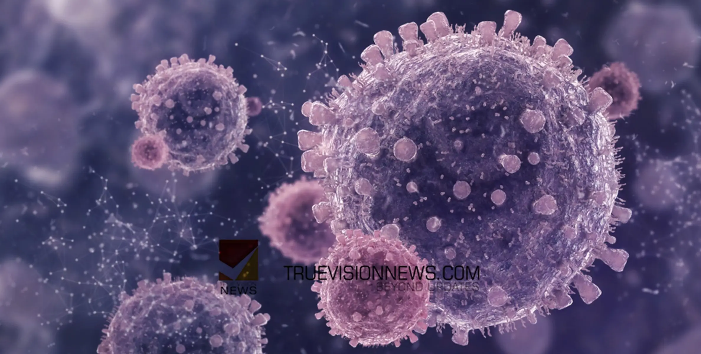 #nipah | മരുതോങ്കരയിൽ ആർക്കും രോഗലക്ഷണങ്ങളില്ല, സമ്പർക്കം പുലർത്തിയ എല്ലാവരെയും തിരിച്ചറിഞ്ഞു'; പഞ്ചായത്ത് പ്രസിഡൻ്റ്