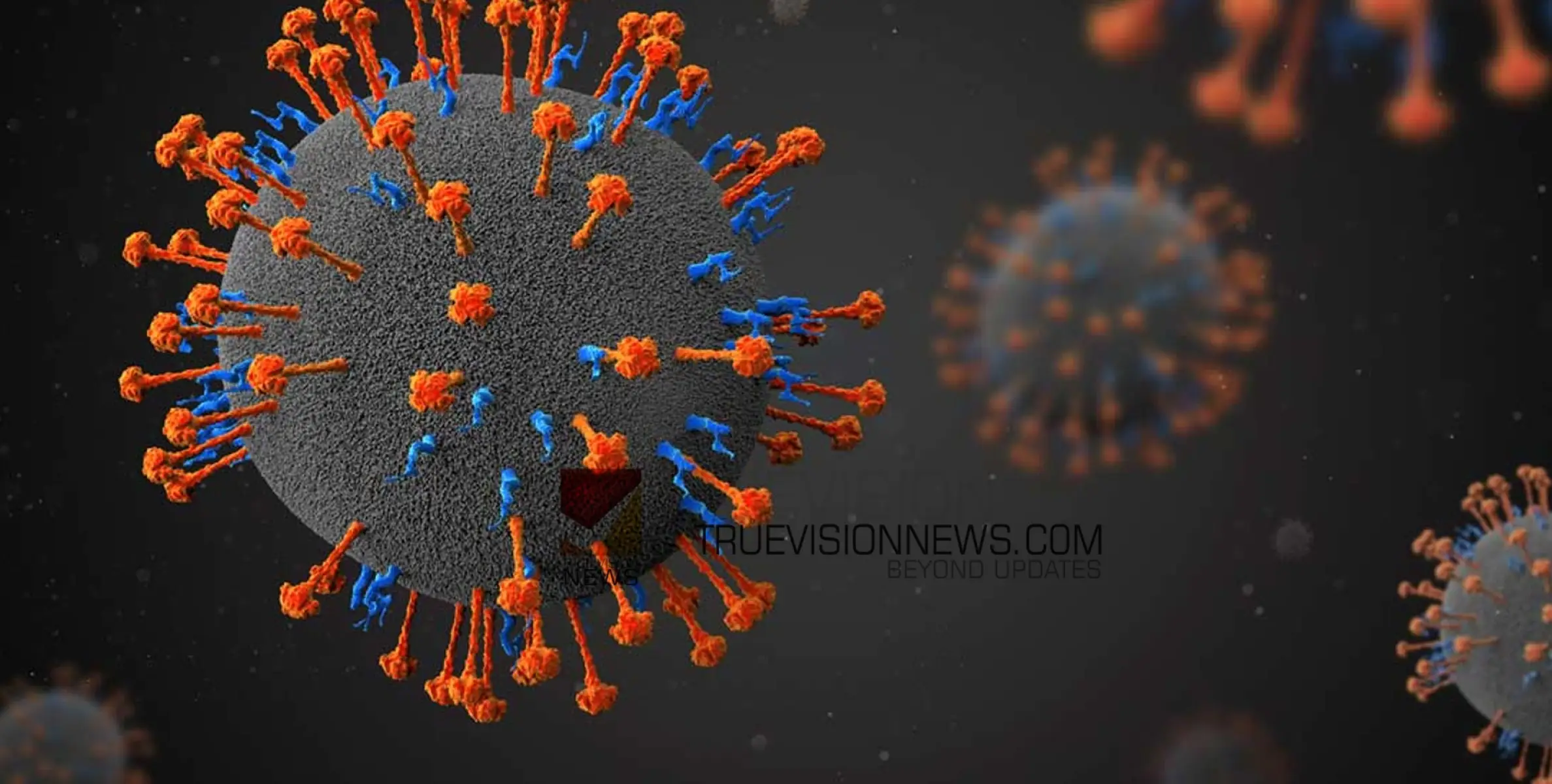 #nipah | നിപ സംശയം; ഇന്നലെ മരിച്ച ആയഞ്ചേരി സ്വദേശിയുടെ റൂട്ട് മാപ്പ് പുറത്ത്