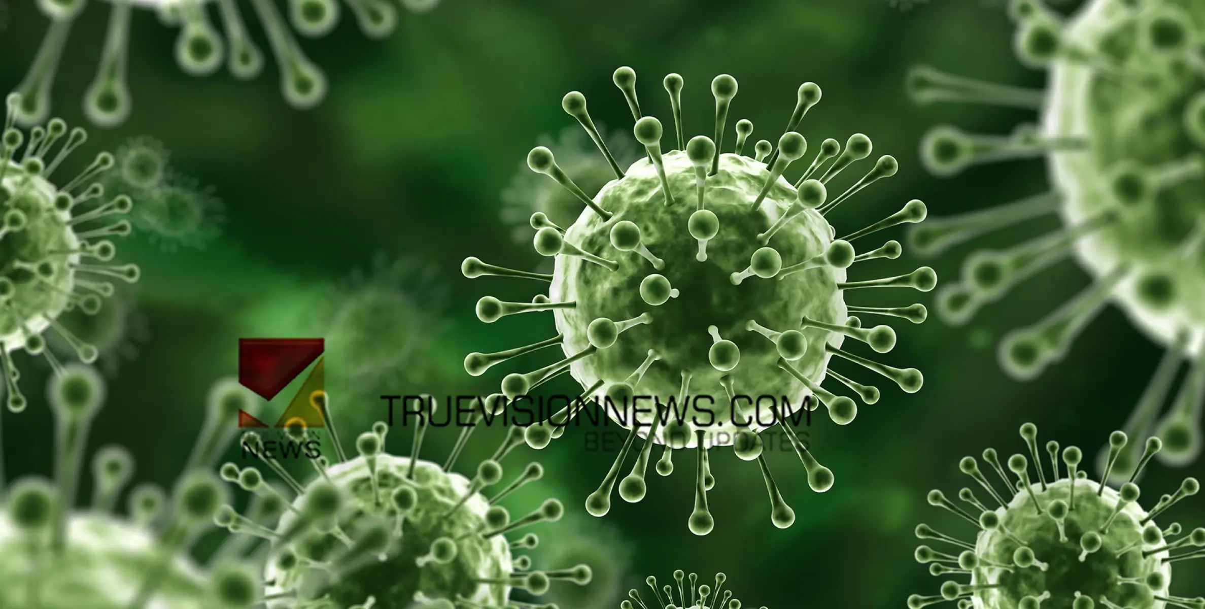 #NIPAHVIRUS | കോഴിക്കോട് മരിച്ച രണ്ടു പേർക്ക് നിപ; പൂനെ ഫലം പോസിറ്റീവ്, കോഴിക്കോട്ട് അതീവ ജാഗ്രത