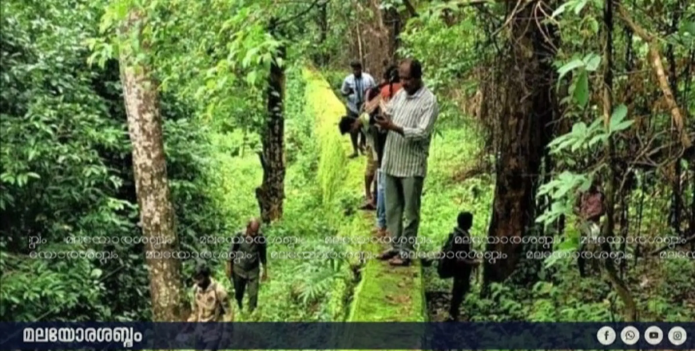 ആറളം ആനമതിൽ: 102 മരങ്ങൾ മുറിച്ചുമാറ്റുന്നു