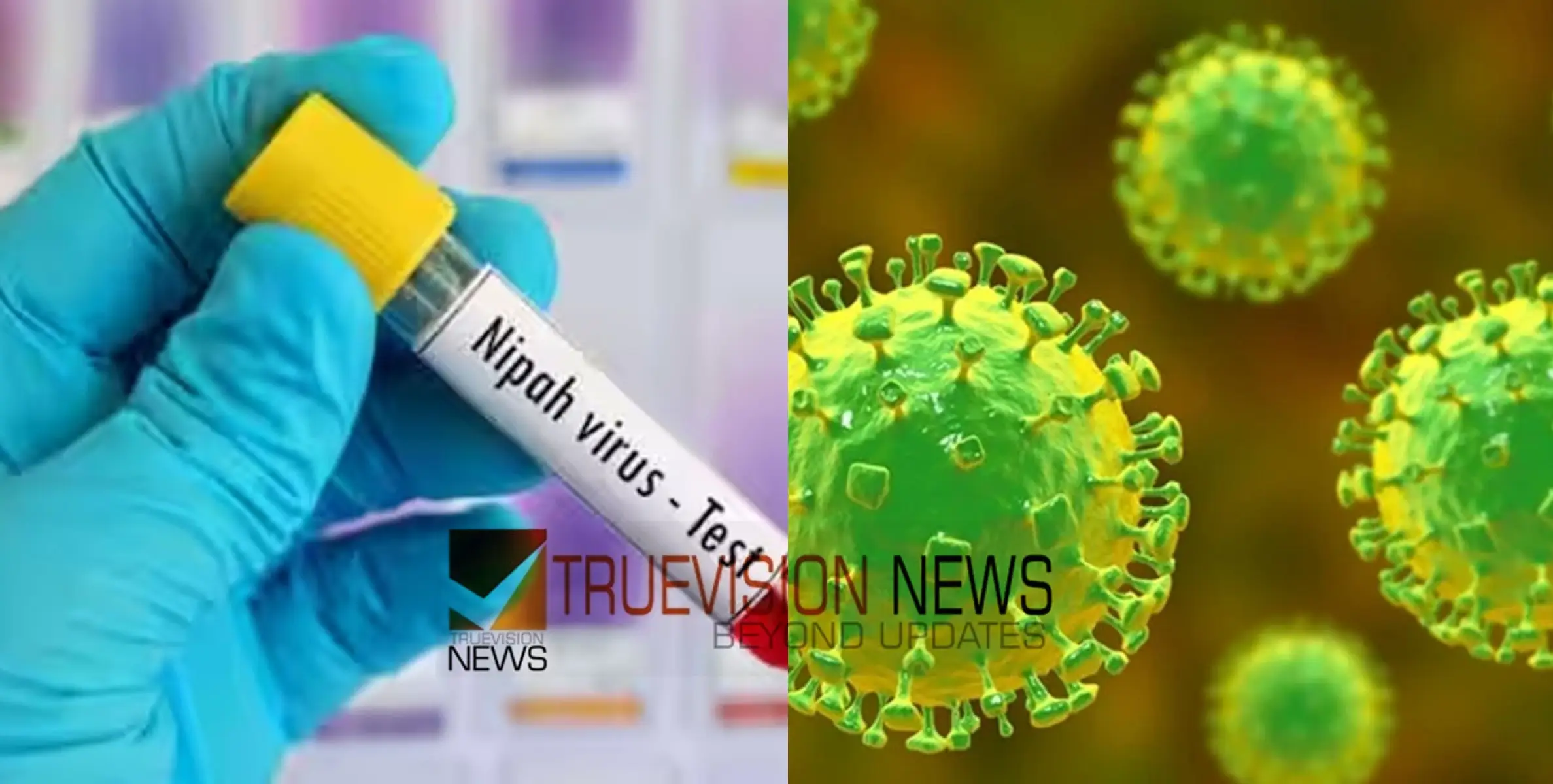 #nipah | മലപ്പുറത്തും നിപ ജാഗ്രത നിർദ്ദേശം; മഞ്ചേരിയിൽ ഒരാൾ നിരീക്ഷണത്തിൽ, സ്രവം പരിശോധനയ്ക്ക് അയച്ചു