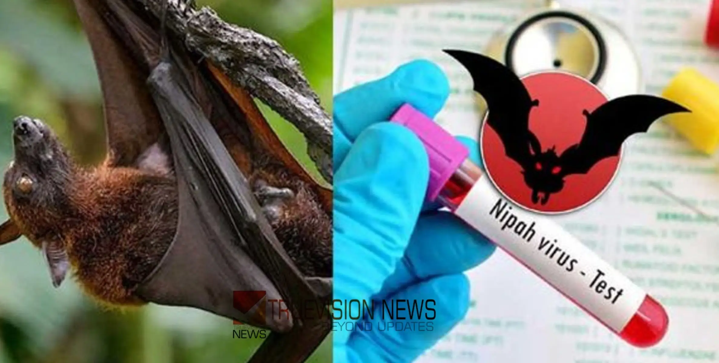 #nipah | നിപ ജാഗ്രതയുമായി മലപ്പുറം ജില്ലയും; അറുപതുകാരി നിരീക്ഷണത്തിൽ