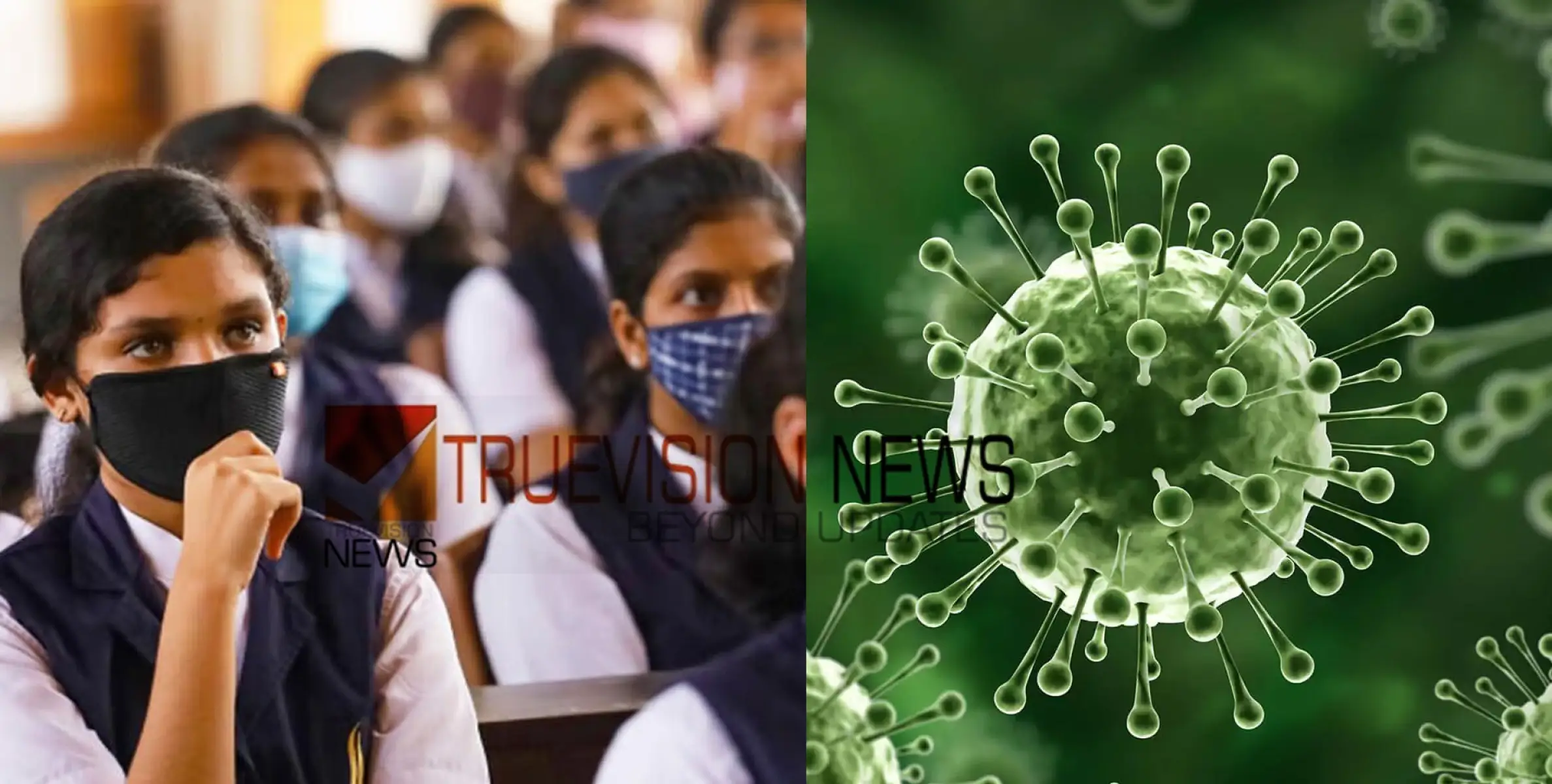 #nipah | നിപ: കോഴിക്കോട് മൂന്ന് ദിവസം അവധി