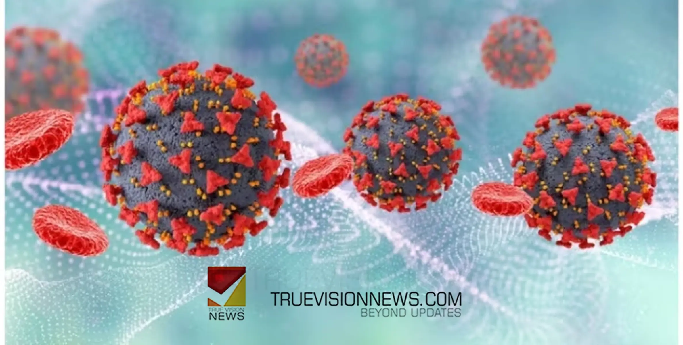 #nipah | തലസ്ഥാനത്ത് രണ്ട് പേർക്ക് നിപ ലക്ഷണം ; സാമ്പിളുകൾ പരിശോധനയ്ക്ക് അയക്കും