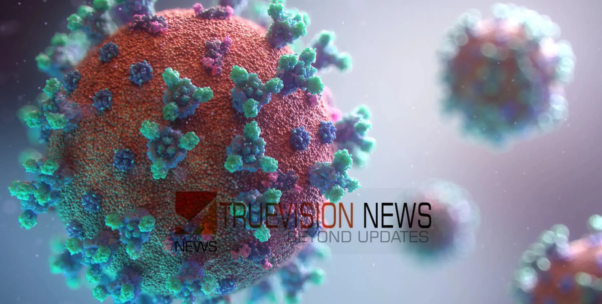 #nipah | നിപ: രോഗബാധ സംശയിച്ച മെഡിക്കൽ വിദ്യാർത്ഥിയുടെ ഫലം നെഗറ്റീവ്