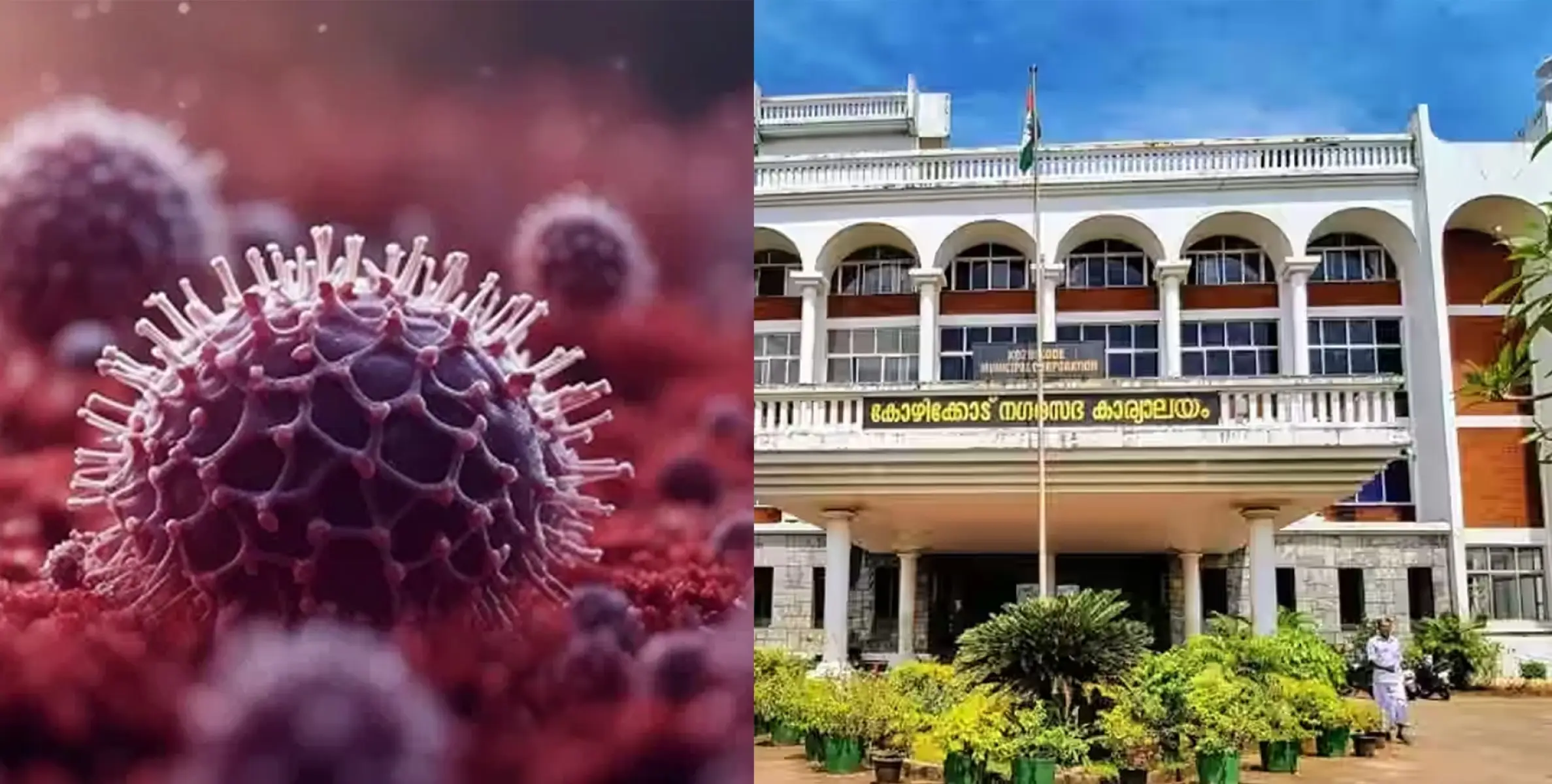 #nipah  |  നിപ; കോഴിക്കോട് കോർപറേഷൻ കണ്ടെയിൻമെന്‍റ് സോണുകളിൽ നിയന്ത്രണങ്ങൾ തുടരും