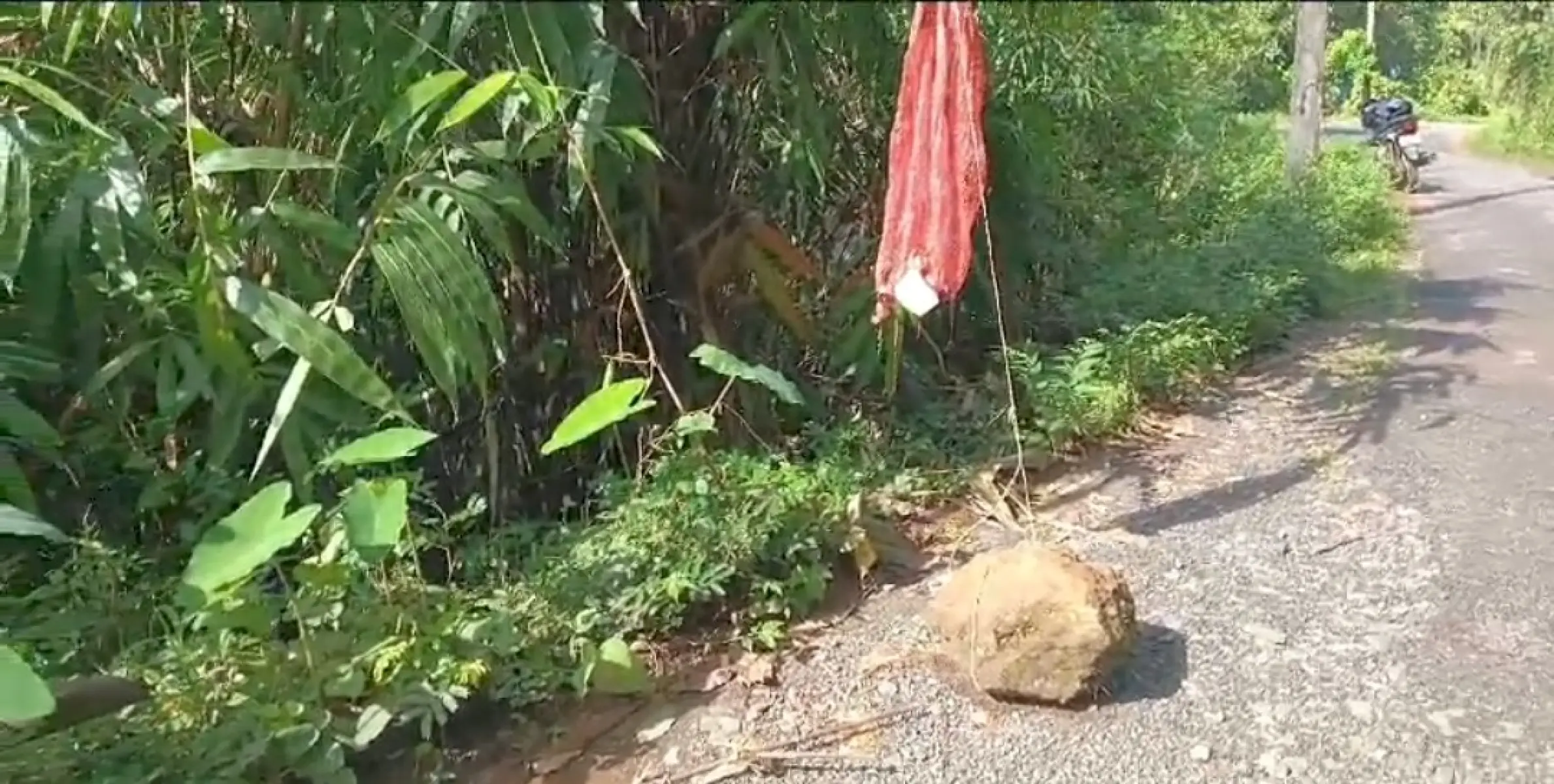 എടപ്പുഴ വാളത്തോട്‌ റോഡ് ഇടിഞ്ഞ് അപകടാവസ്ഥയിൽ