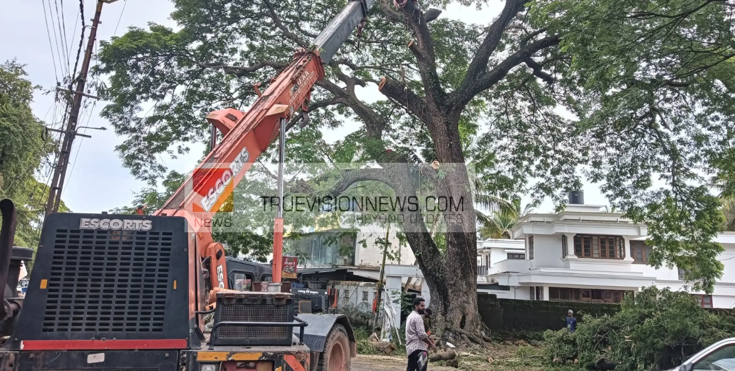 #mahi|    ന്യൂ മാഹി കുറിച്ചിയിൽ ടൗണിലെ അപകടാവസ്ഥയിലുള്ള മരങ്ങൾ മുറിക്കുന്ന പ്രവൃത്തി തുടങ്ങി