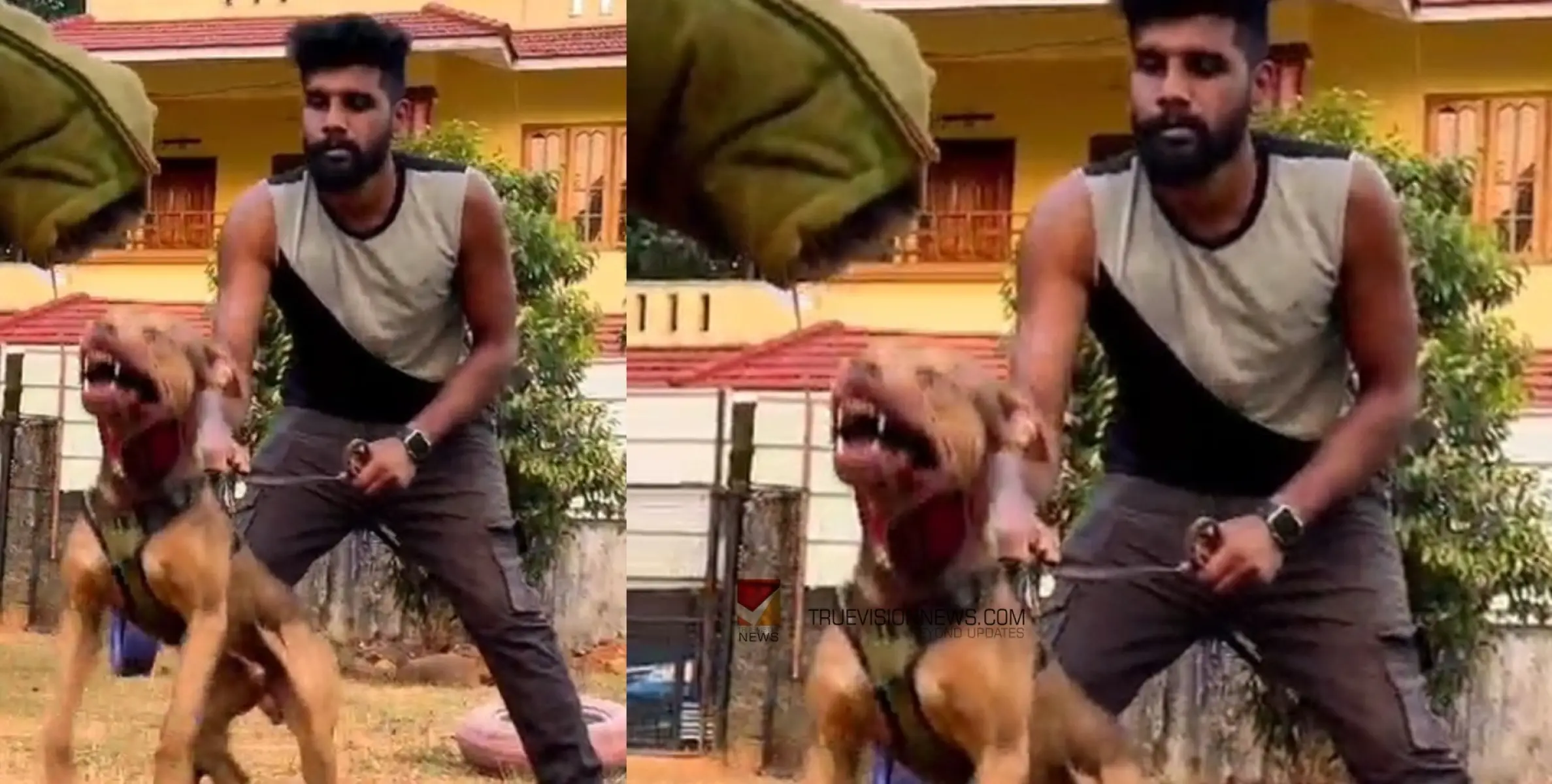 #DRUGS | നായകളെ കാവൽ നിർത്തി കഞ്ചാവ് കച്ചവടം നടത്തിയ സംഭവം; റോബിനായുള്ള തെരച്ചിൽ ഊർജിതമാക്കി പൊലീസ്