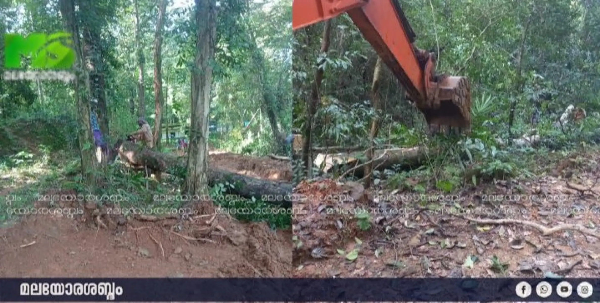 ആറളം ഫാം പുനരധിവാസ മേഖലയിലെ ആനമതിൽ നിർമ്മാണത്തിന്റെ ആരംഭഘട്ട ജോലികൾ ആരംഭിച്ചു. 
