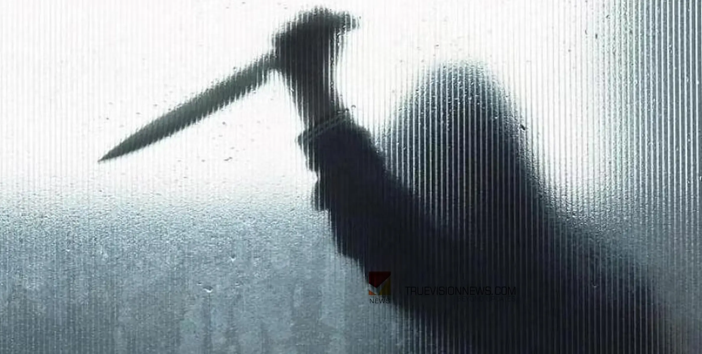 #murder | ബ്രിട്ടനിൽ പതിനഞ്ചുകാരിയുടെ കഴുത്തറത്തു കൊന്ന 17 വയസുകാരൻ പിടിയിൽ