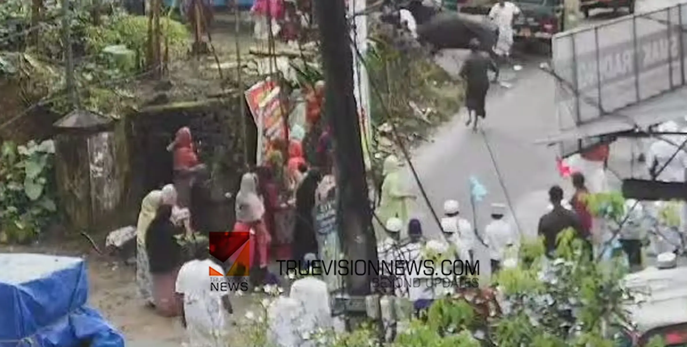 #buffaloattack | നബിദിന റാലിക്കിടെ പോത്ത് ആക്രമിച്ച സംഭവം; സ്ത്രീക്കും കുട്ടികൾക്കും പരിക്കേറ്റു