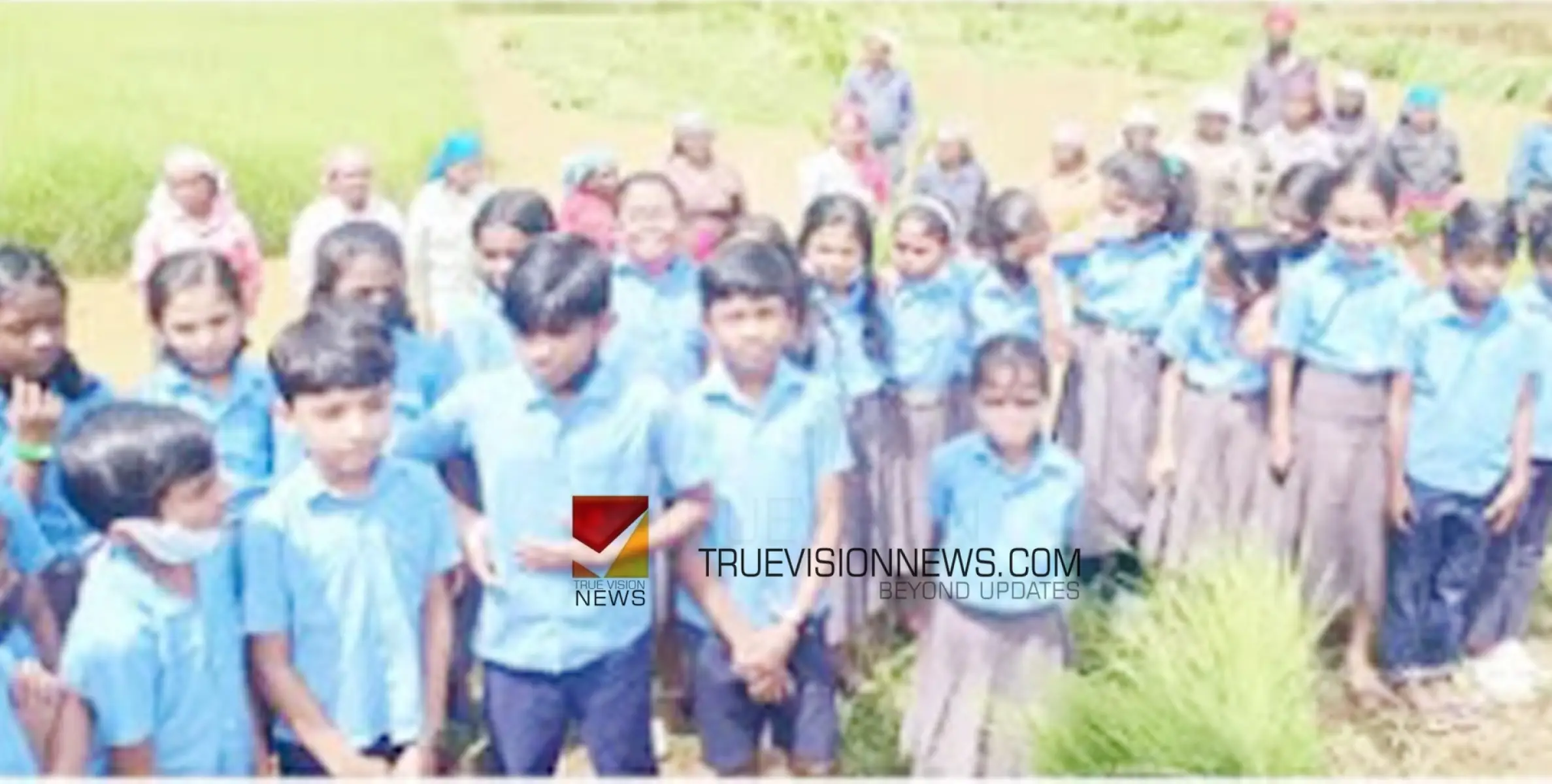 #studytour | പഠന യാത്ര സംഘടിപ്പിച്ചു; കൃഷിയെ അടുത്തറിയാനായി വയലിലേക്കിറങ്ങി വിദ്യാർത്ഥികൾ 