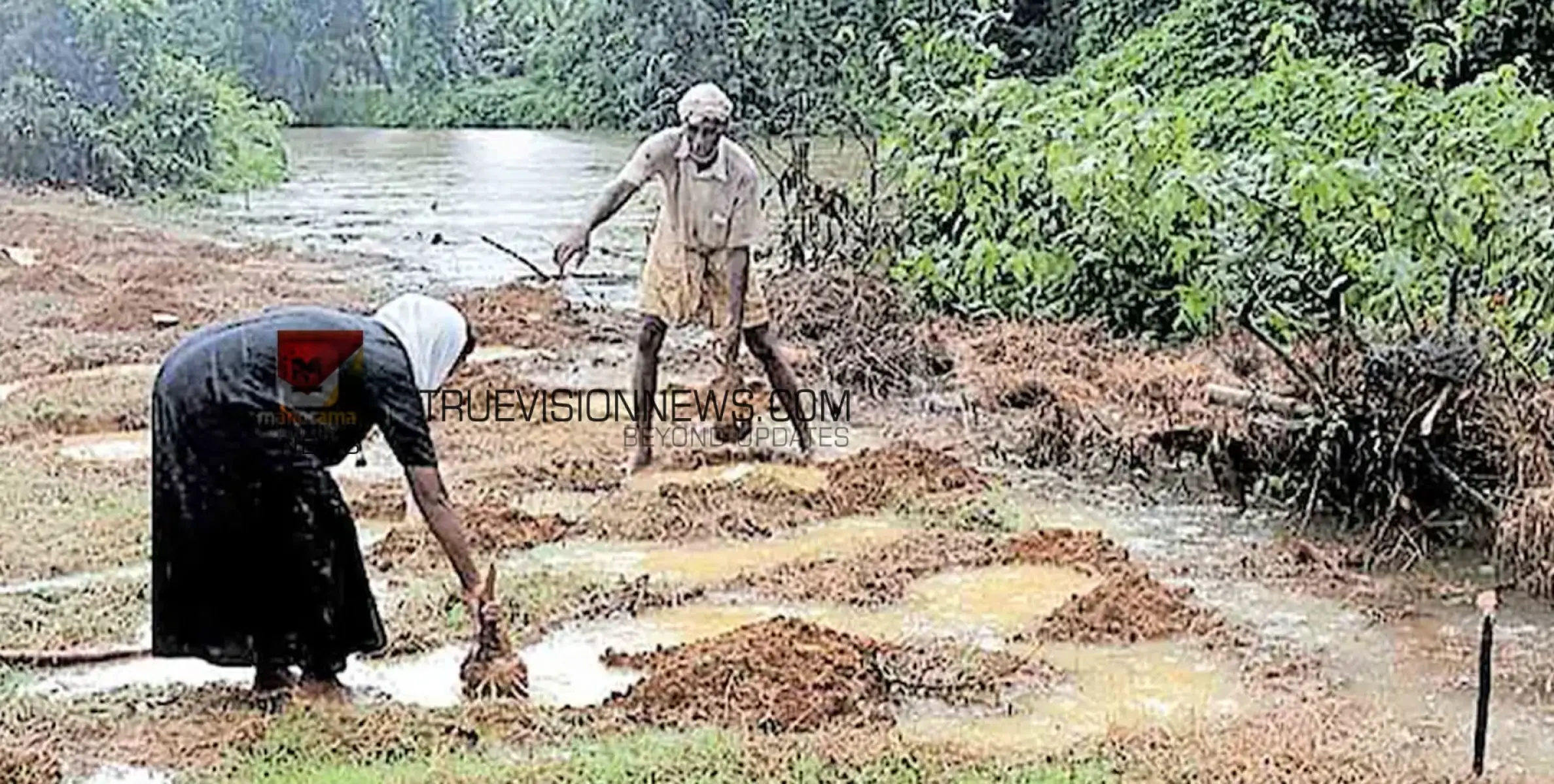 #piravom | പിറവം മേഖലയിൽ പാടശേഖരങ്ങളിൽ വെള്ളക്കെട്ട്;ഇന്നലെ പിറവത്ത് രേഖപ്പെടുത്തിയത് 96 സെന്റിമീറ്റർ മഴ