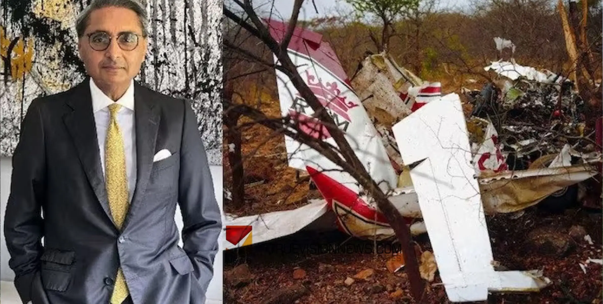 #aircrash | സിംബാബ്‌വെയില്‍ സ്വകാര്യ വിമാനം തകർന്നുവീണു ; ഇന്ത്യൻ വ്യവസായിയും മകനും കൊല്ലപ്പെട്ടു 