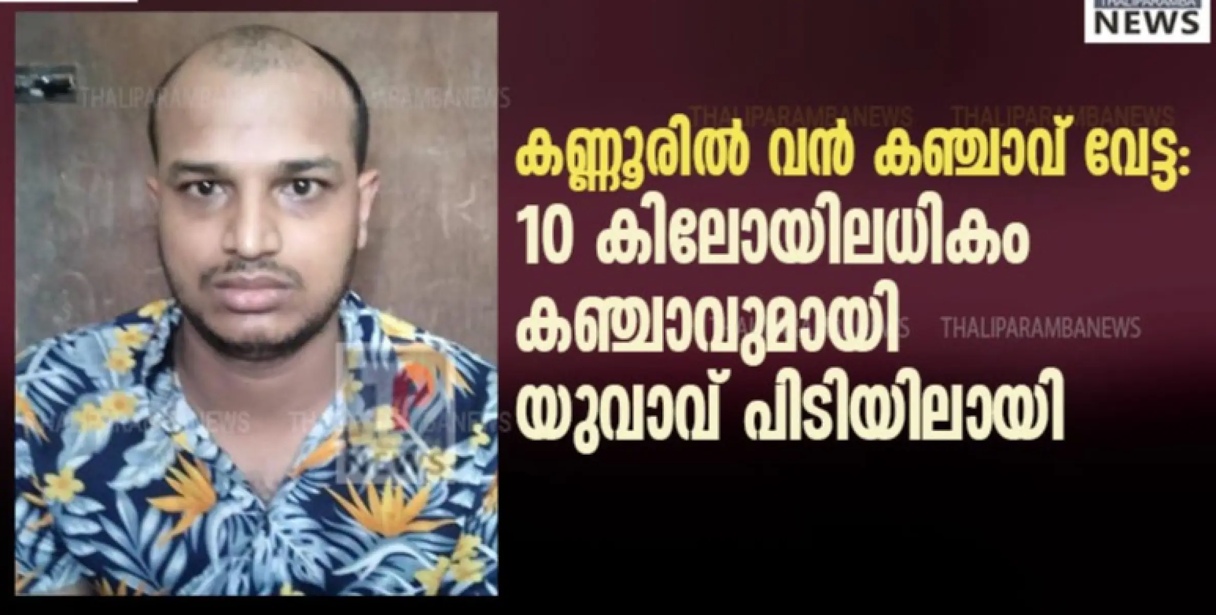 കണ്ണൂരിൽ വൻ കഞ്ചാവ് വേട്ട: 10കിലോയിലധികം കഞ്ചാവുമായി യുവാവ് പിടിയിലായി