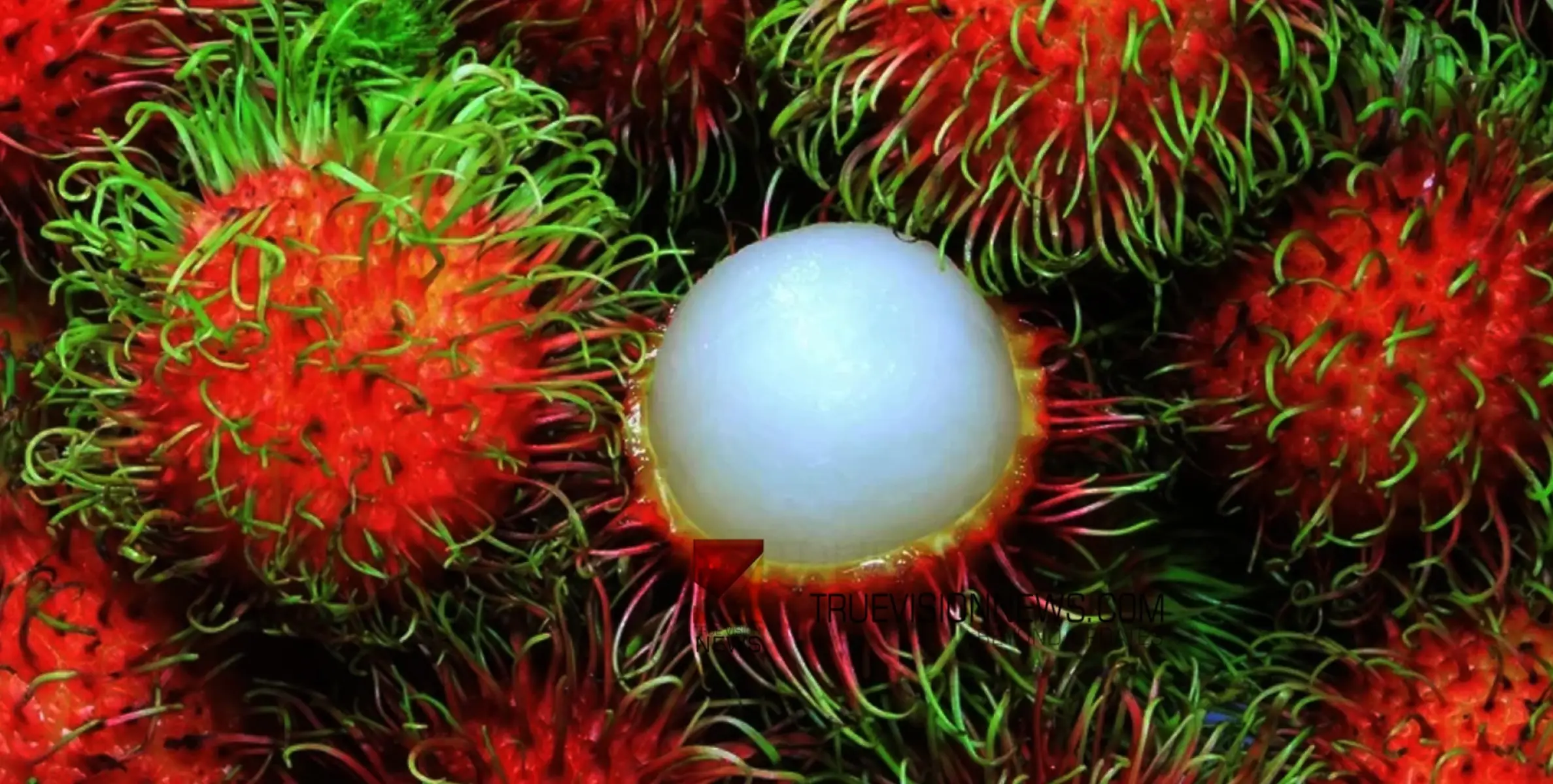 #Rambutan | റംബൂട്ടാന്‍ കഴിക്കുന്നത് കൊണ്ടുള്ള ഗുണങ്ങൾ... ന്യൂട്രീഷ്യനിസ്റ്റ്‌ പറയുന്നത് നോക്കാം 