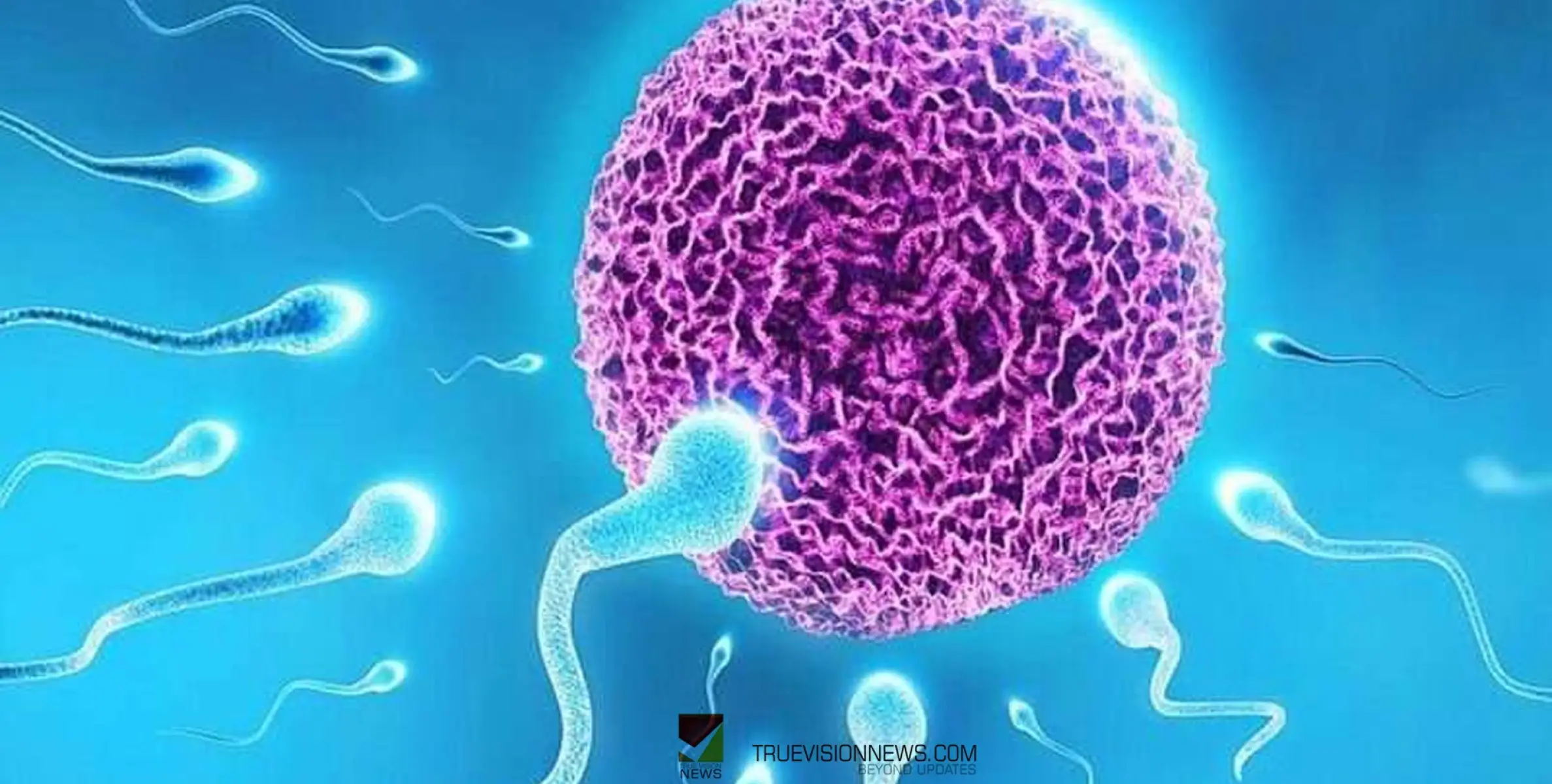 #Infertility| താലോലിക്കാം കുഞ്ഞെന്ന സ്വപ്നത്തെ; ഡോ: ഷൈജസിന്റെ  സേവനം  സിഎം ഹോസ്പിറ്റലിൽ ലഭ്യമാണ്