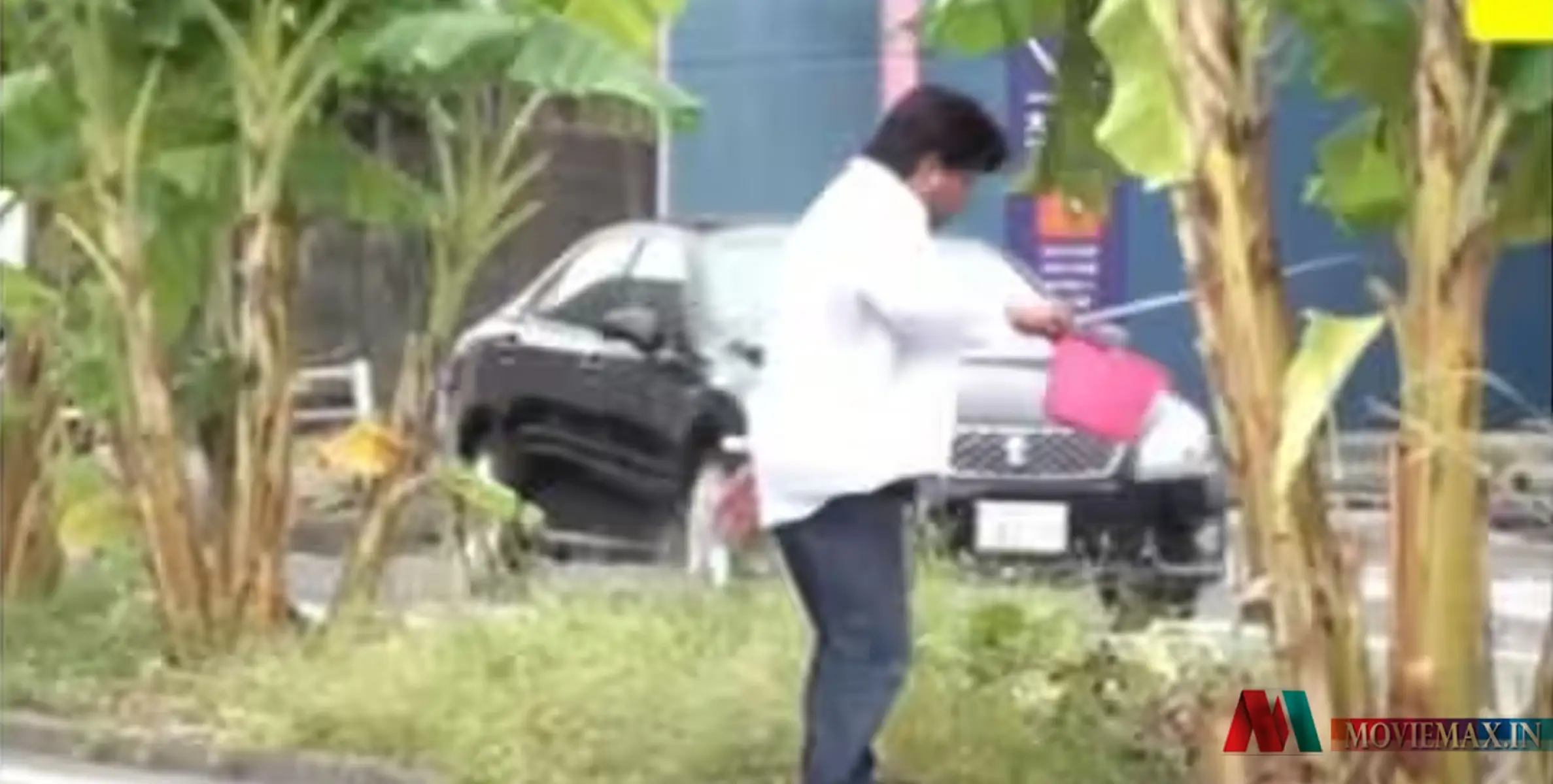 #viral | റോഡിന് നടുവില്‍ വാഴ നട്ട്  വളര്‍ത്തി, ഒടുവില്‍ രണ്ട് വര്‍ഷത്തിനു ശേഷം ഇടപെട്ട് അധികൃതര്‍; താന്‍ അനാഥനായെന്ന് ഉടമ!