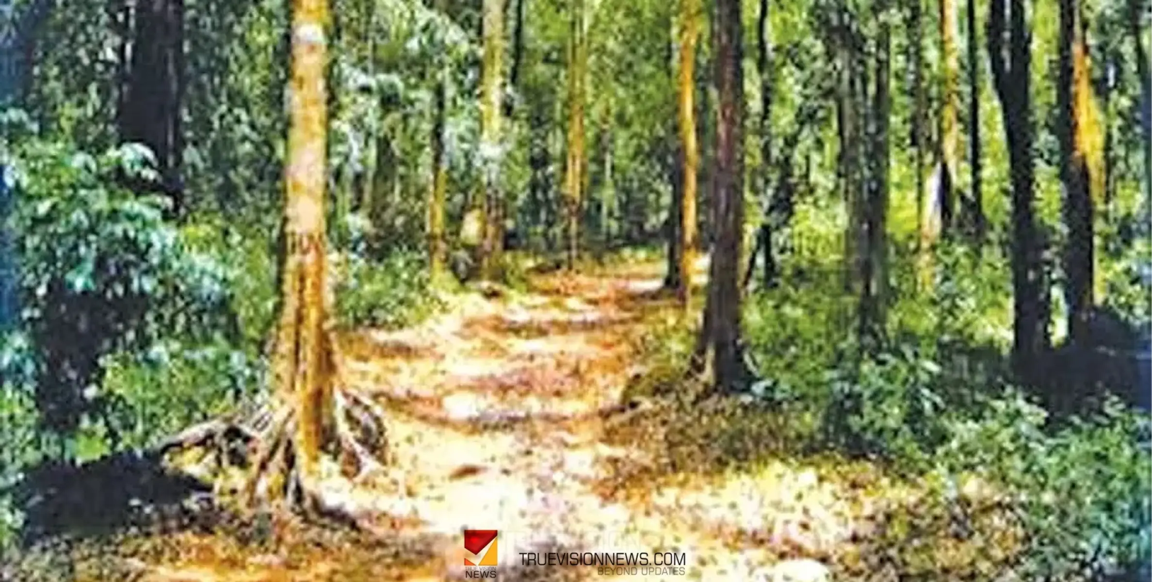 #VilangadWayanadroad | വിലങ്ങാട് - വയനാട് റോഡ് യാഥാർത്ഥ്യമാക്കണം - വടകര താലൂക്ക് വികസന സമിതി 