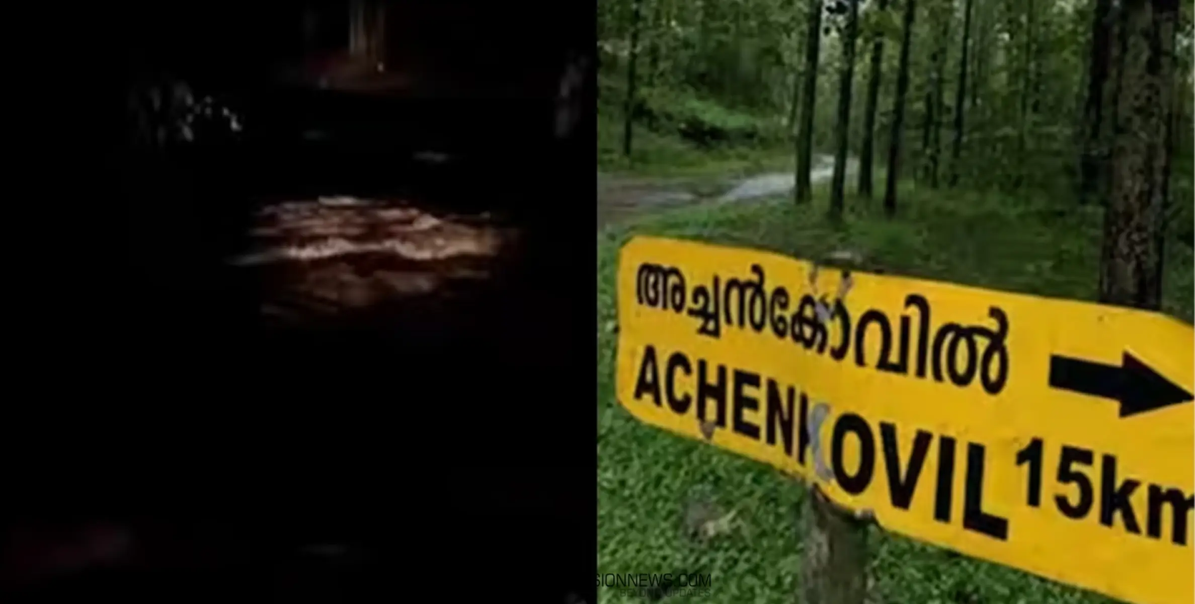 #Rescued | ട്രെക്കിങിന് പോയി വനത്തിൽ അകപ്പെട്ട വിദ്യാർഥി സംഘത്തെ പുറത്തെത്തിച്ചു 