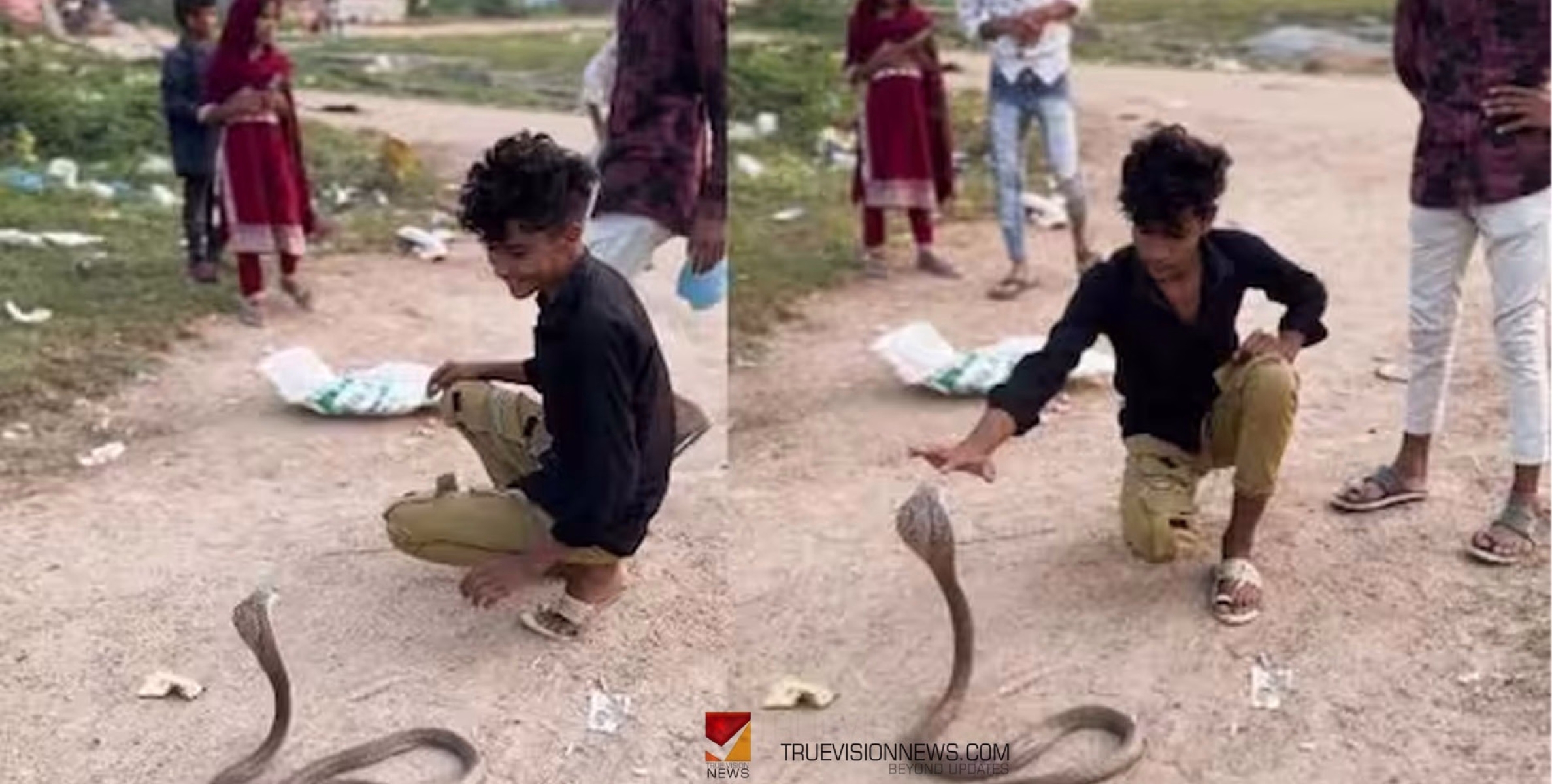 #cobra | മൂർഖനോടാണ് അവന്റെ കളി; പത്തിവിടർത്തിയ പാമ്പിന്  മുന്നിൽ യുവാവ്, വീഡിയോ വൈറൽ