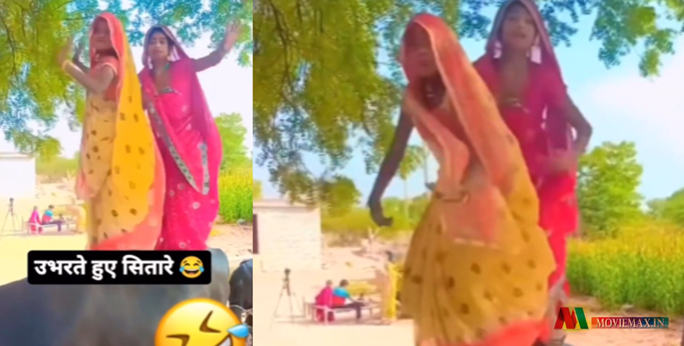 #viral | എന്തൊക്കെ കാണണം? എരുമപ്പുറത്ത് കയറി യുവതികളുടെ നൃത്തം; ഞെട്ടിയത് സോഷ്യല്‍ മീഡിയ