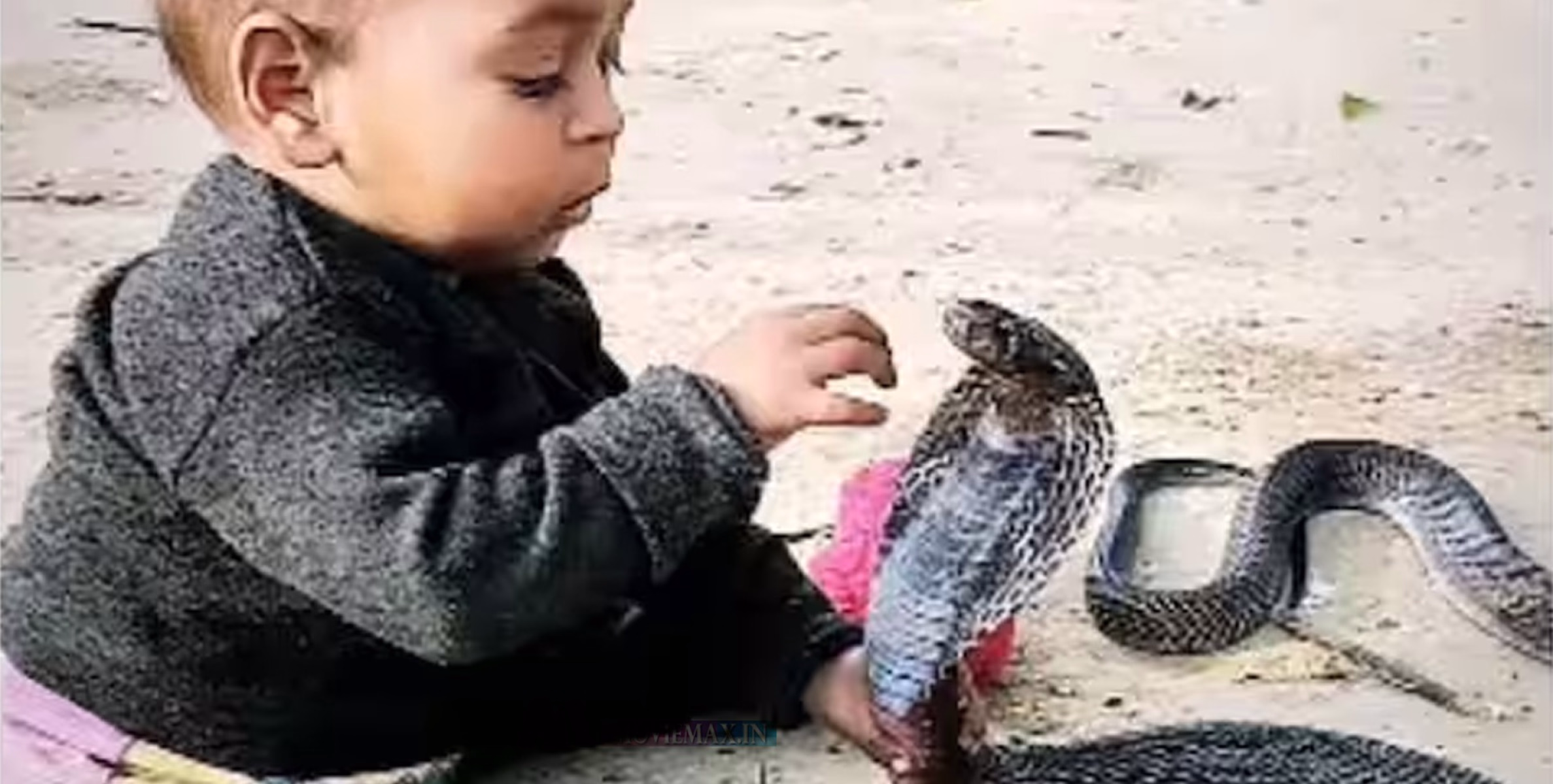 #VIRAL | 'ഒരു സെക്കന്‍റ് വേണ്ട...'; മൂർഖന്‍ പാമ്പിനൊപ്പം 'കളിക്കുന്ന' കൈകുഞ്ഞിന്‍റെ വൈറല്‍ വീഡിയോയ്ക്ക് രൂക്ഷവിമർശനം !