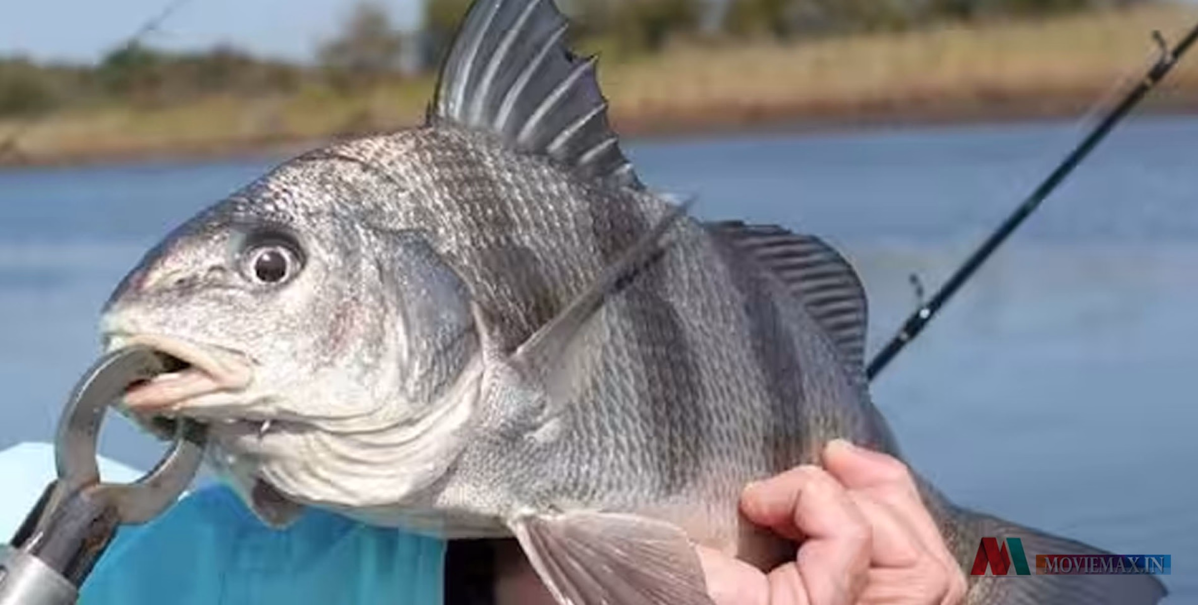 #viral | പേടിപ്പെടുത്തുന്ന ശബ്ദവും പ്രകമ്പനവും, ഉറക്കം നഷ്ടപ്പെട്ട് താമസക്കാർ, കാരണം കണ്ടെത്തിയപ്പോൾ ഞെട്ടി!