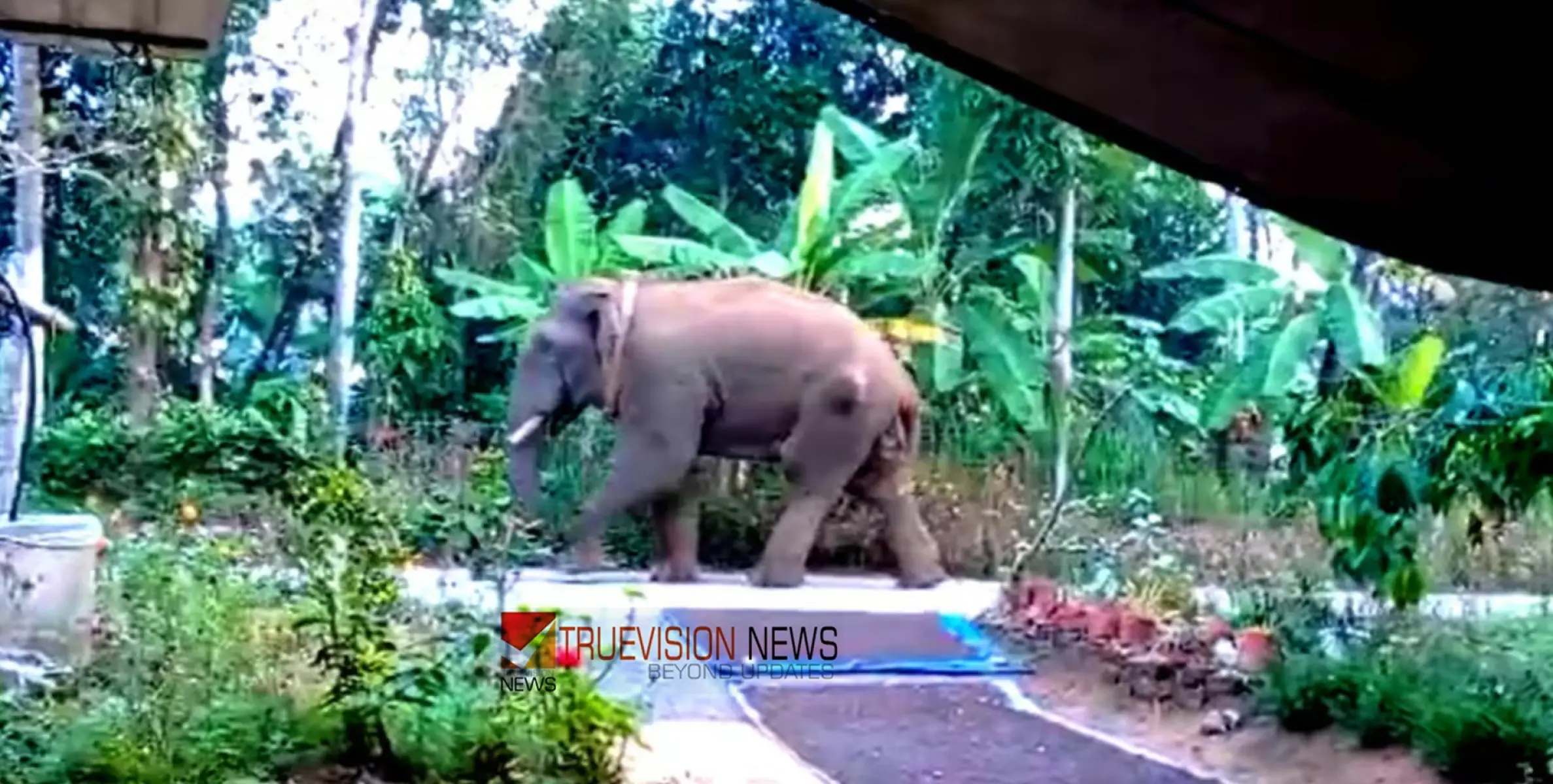  #holiday |മാനന്തവാടിയിൽ വിവിധയിടങ്ങളിലെ വിദ്യാഭ്യാസ സ്ഥാപനങ്ങൾക്ക് ഇന്ന് അവധി