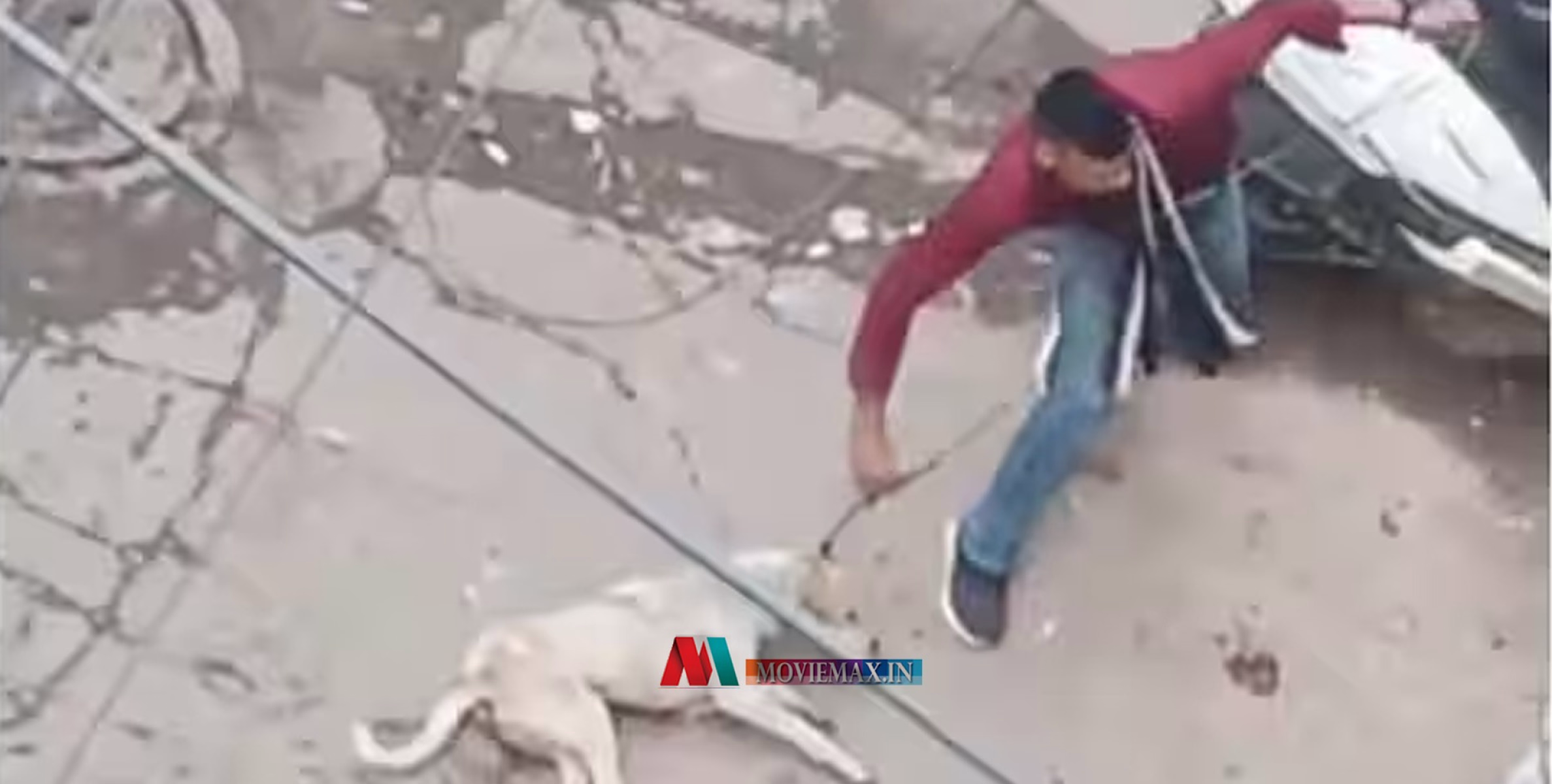 #viral | അവശനായ നായയെ കമ്പിക്കുരുക്കിട്ട് കൊലപ്പെടുത്തുന്ന ഞെട്ടിക്കുന്ന വീഡിയോ പുറത്ത് ; സംഭവം വൈറൽ