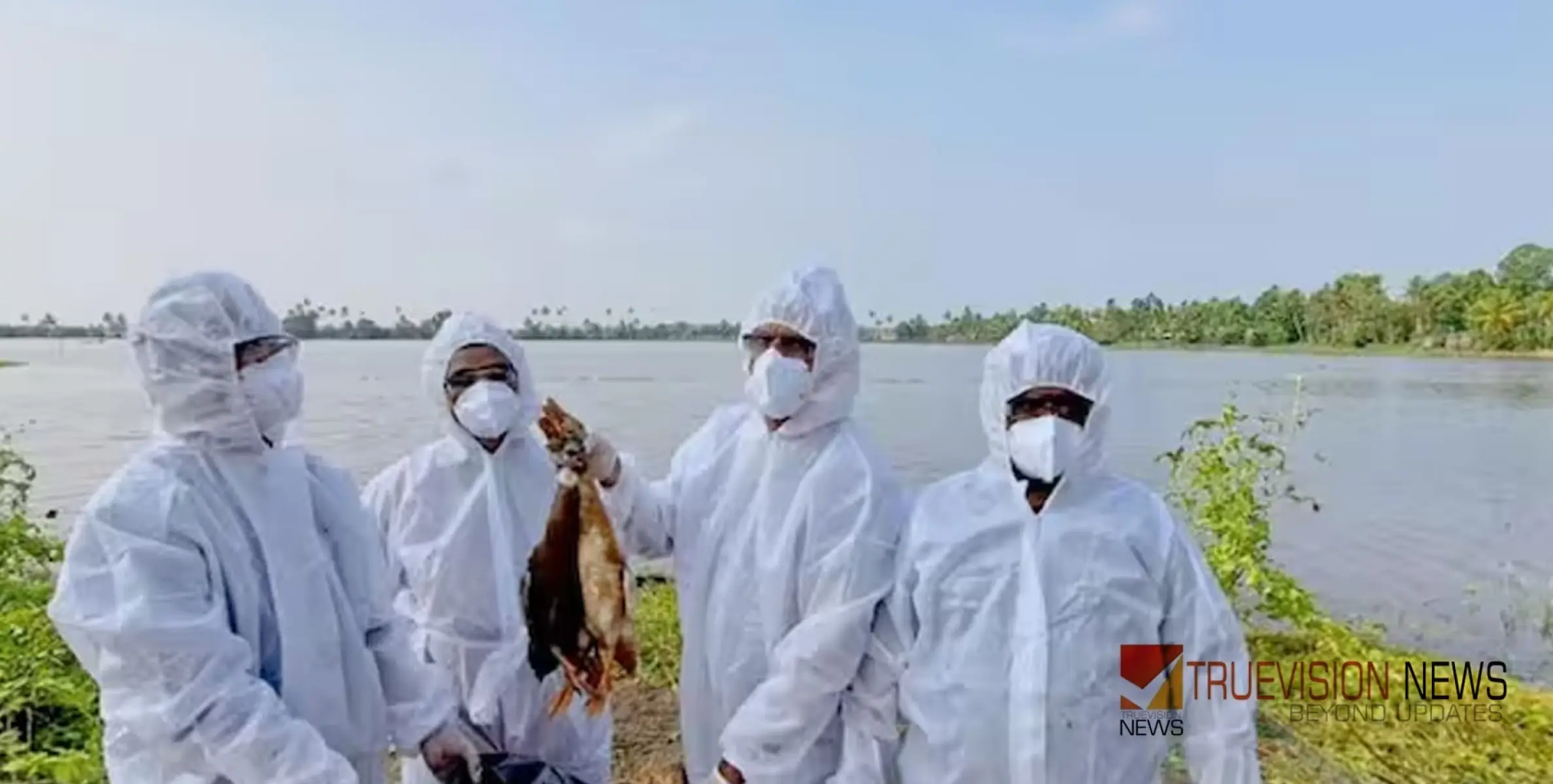 #birdflu | പക്ഷിപ്പനി: താറാവ്, കോഴി എന്നിവയുടെ ഇറച്ചിയും മുട്ടയും വിൽക്കുന്നതിന് ആലപ്പുഴയിൽ പ്രാദേശിക നിരോധനം