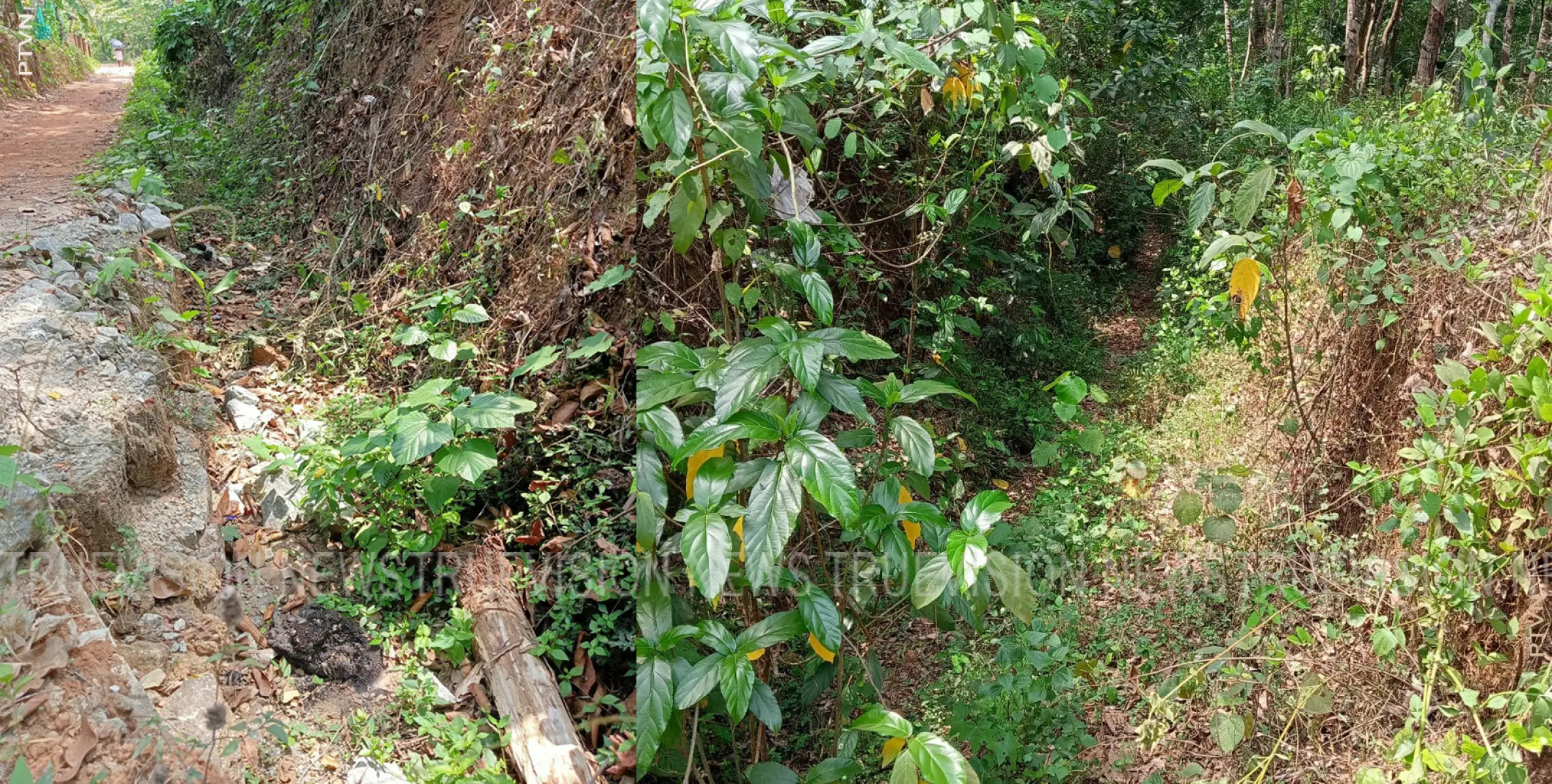 കനാല്‍ ജലമെത്തിയില്ല കുടിവെള്ള ക്ഷാമം രൂക്ഷമായി 