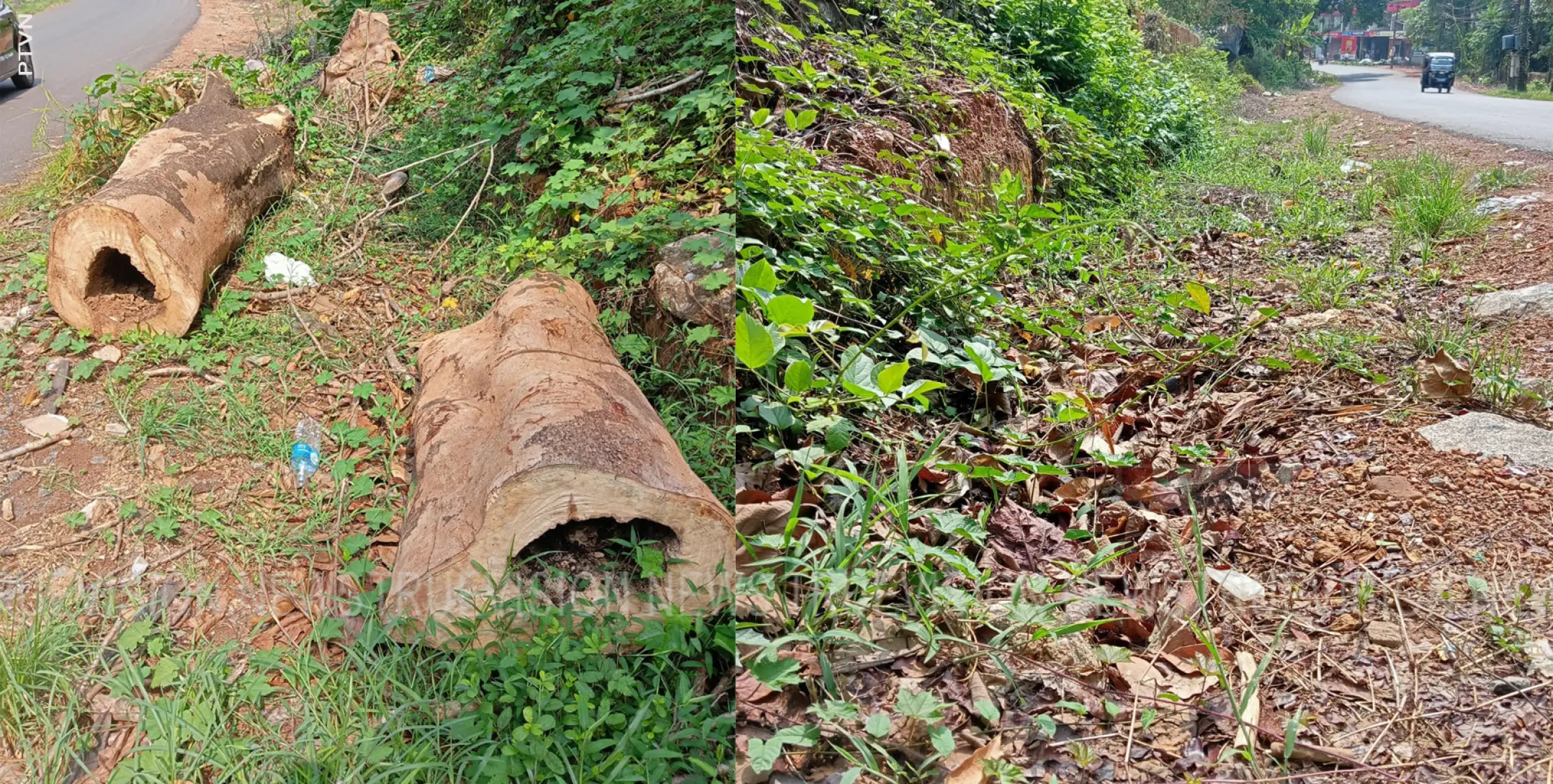 ഓവുചാലിലെ മണ്ണും മുറിച്ചിട്ട മരങ്ങളും നീക്കം ചെയ്യണം 