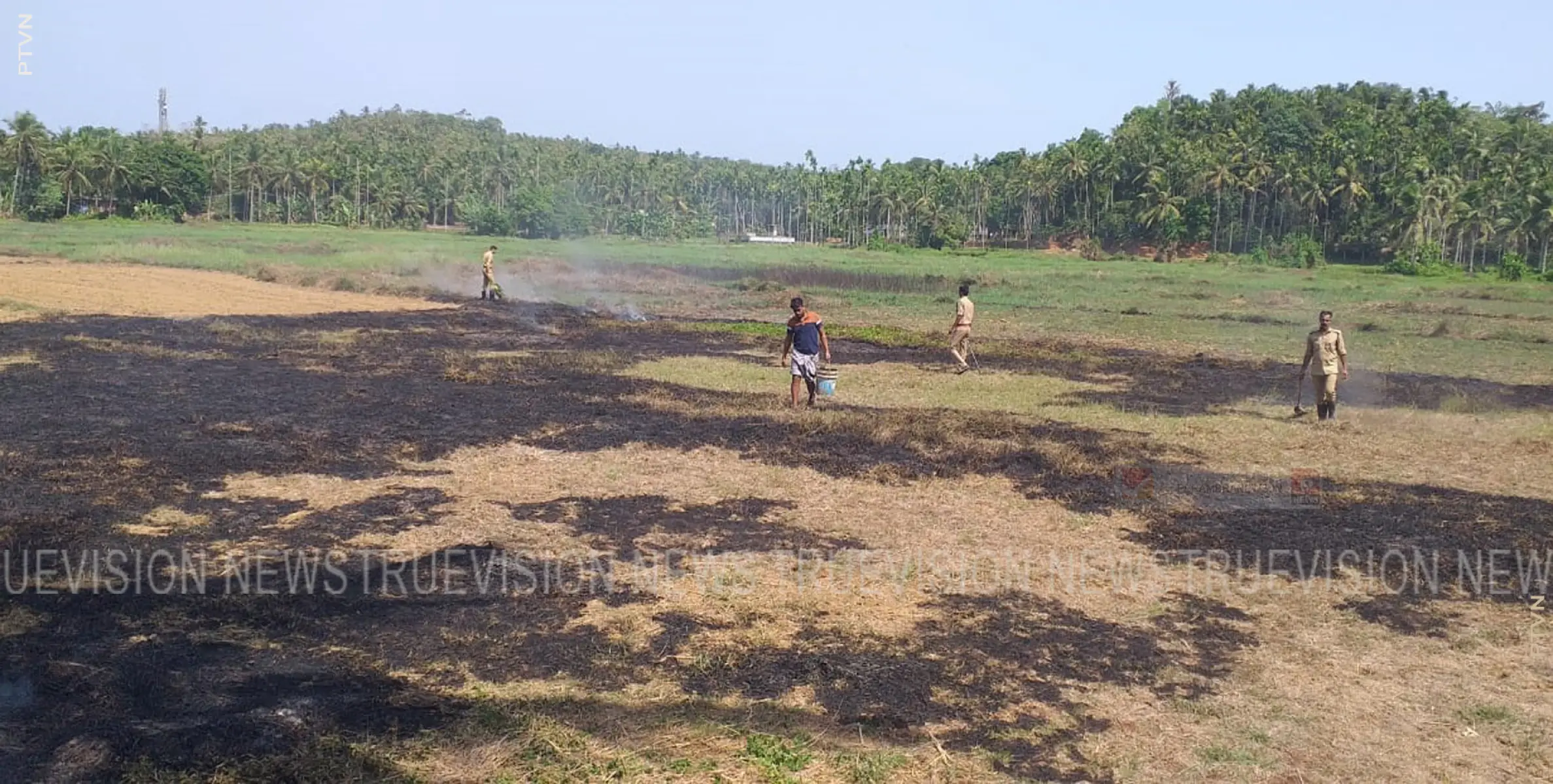 നടുവണ്ണൂര്‍ കാവുന്തറ മാവട്ട് താഴെ വയലില്‍ തീ പിടിച്ചു 