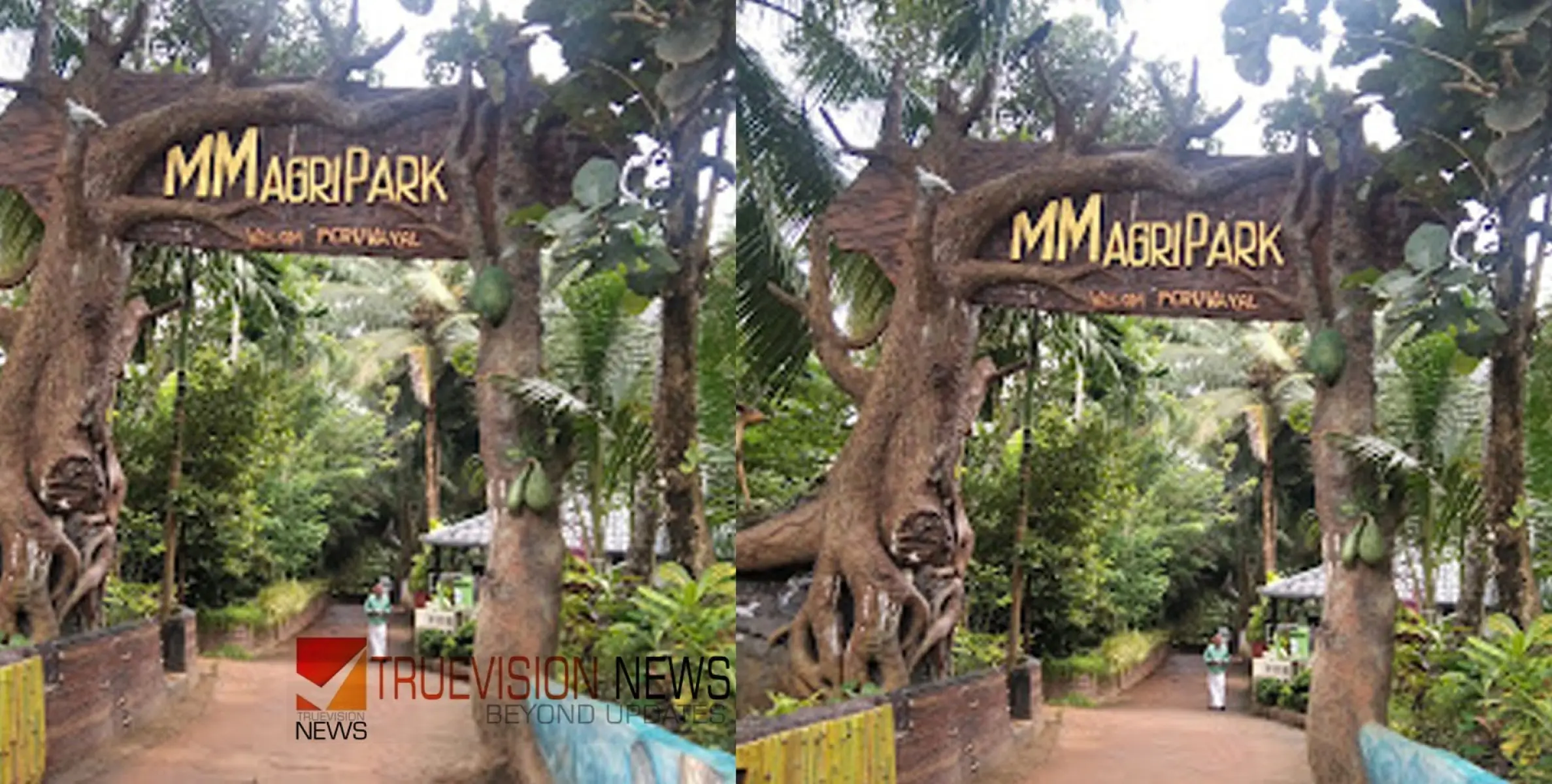 #MMAGRIPARK | മിതമായ നിരക്ക്; മികച്ച ഫാമിലി പാക്കേജുകൾ, വിനോദത്തിന് ഇനി ചെലവേറില്ല