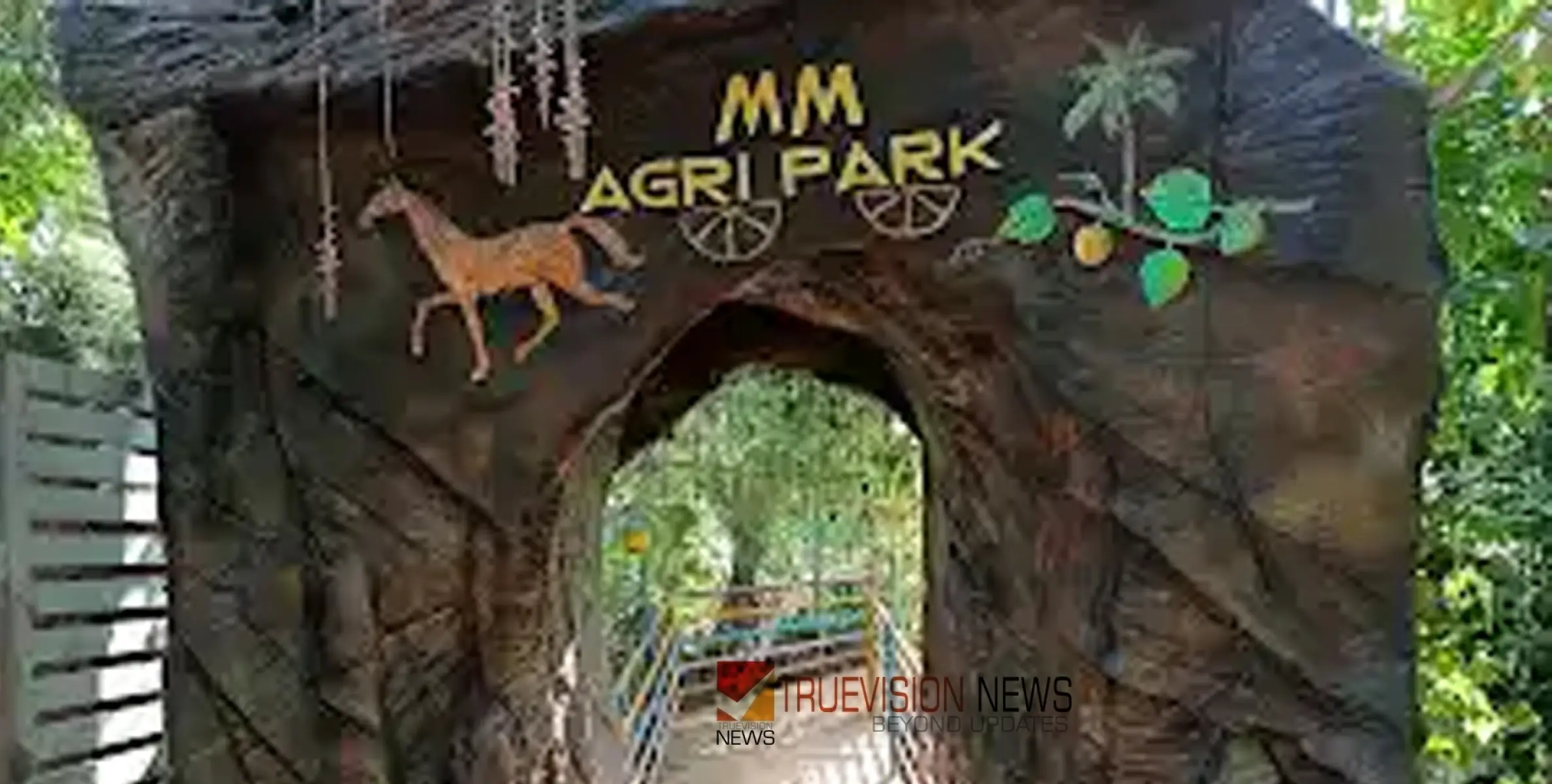 #MMAgriPark | മടിക്കാതെ വരൂ; വൈവിധ്യമാർന്ന വിനോദങ്ങൾ നിങ്ങൾക്കായി ഒരുക്കി എം എം അഗ്രി പാർക്ക്