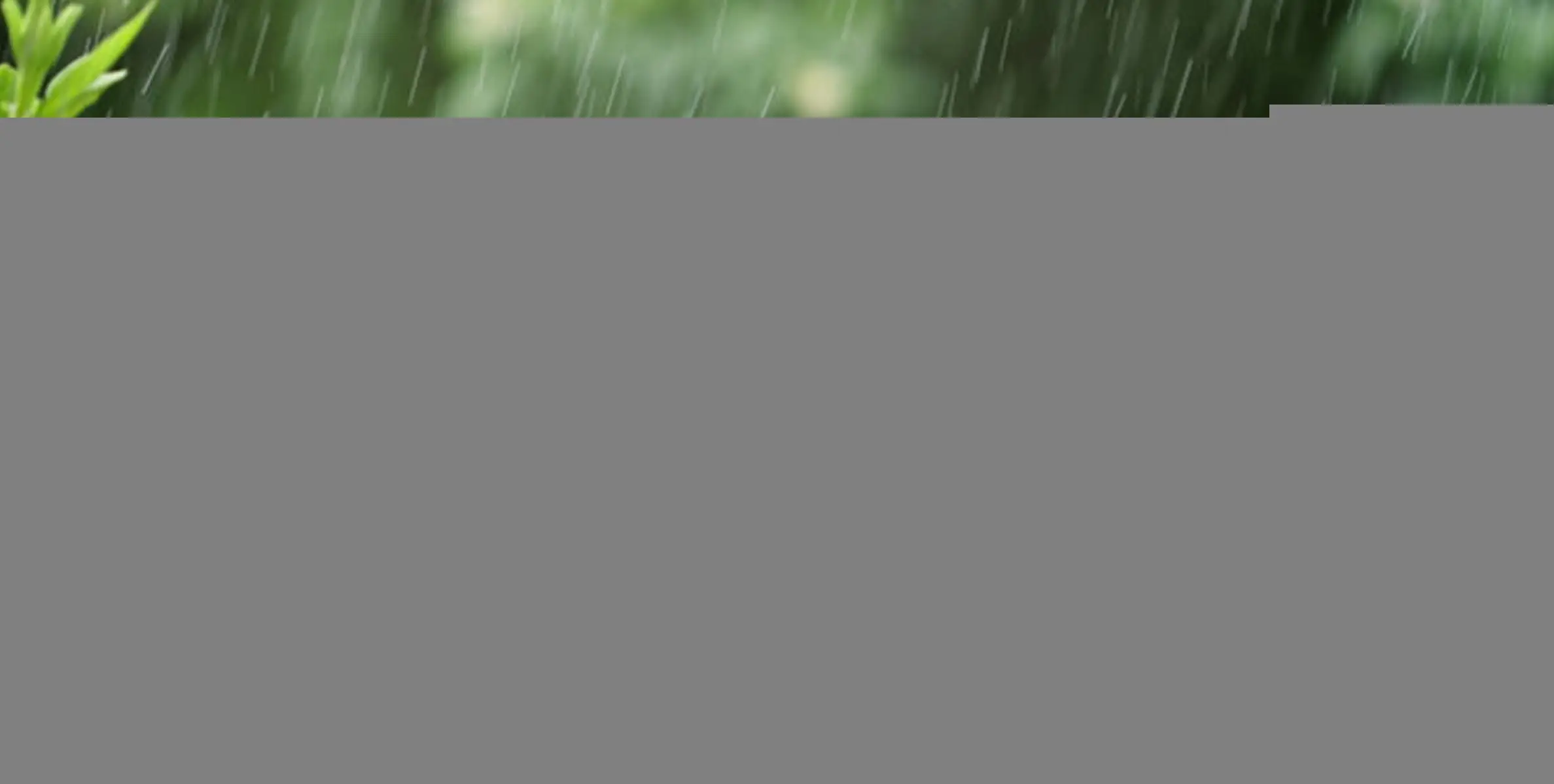  #rain |മഴ കനക്കും, ഞായറാഴ്ച 5 ജില്ലകളിൽ യെല്ലോ അലർട്ട്, മെയ് 14 വരെ എല്ലാ ജില്ലകളിലും മഴ; ഏറ്റവും പുതിയ അറിയിപ്പ്