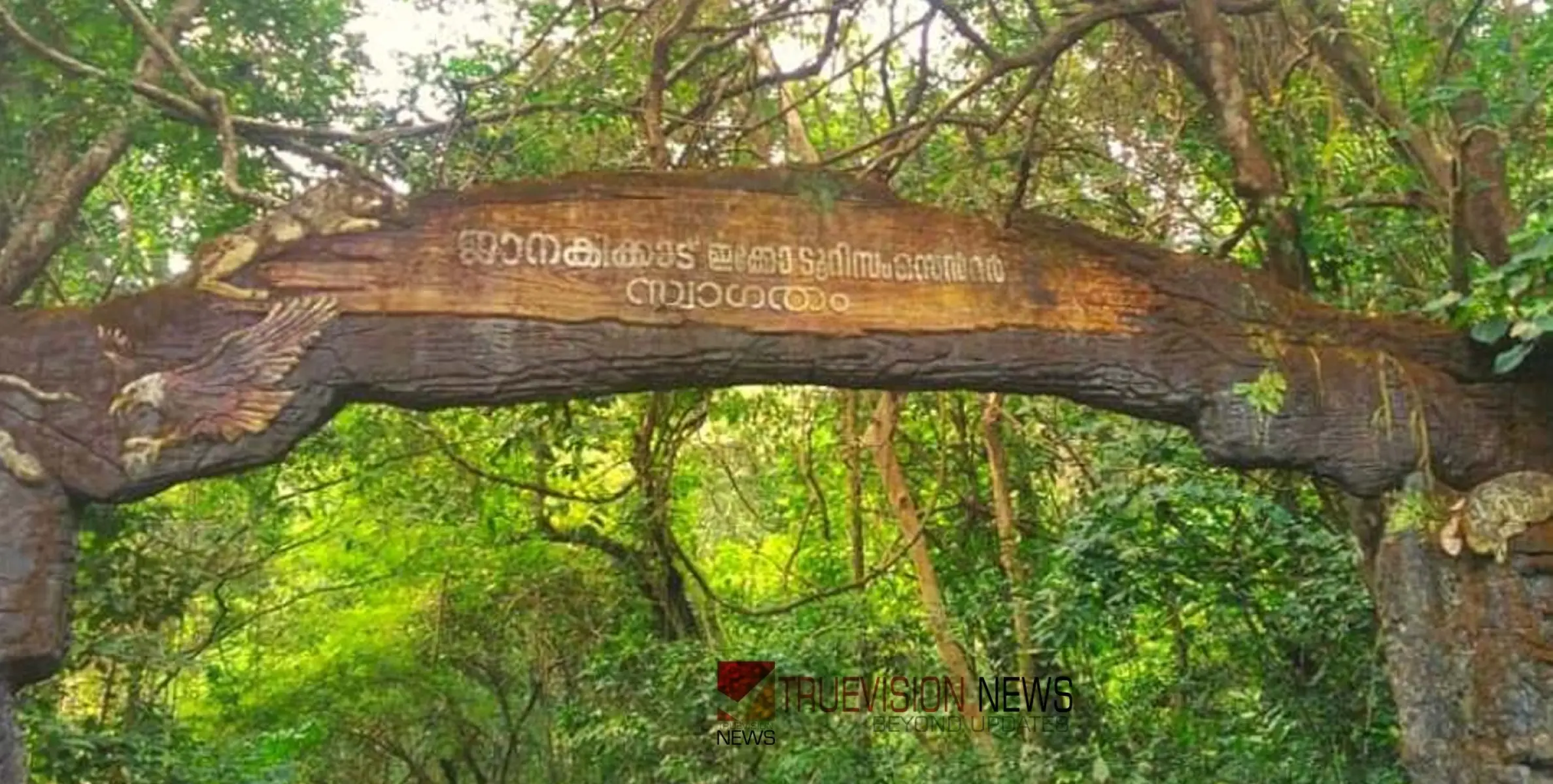 #janakiforest|ജാനകി കാട്ടിൽ 54 ഇനം പക്ഷികളെ കണ്ടെത്തി 