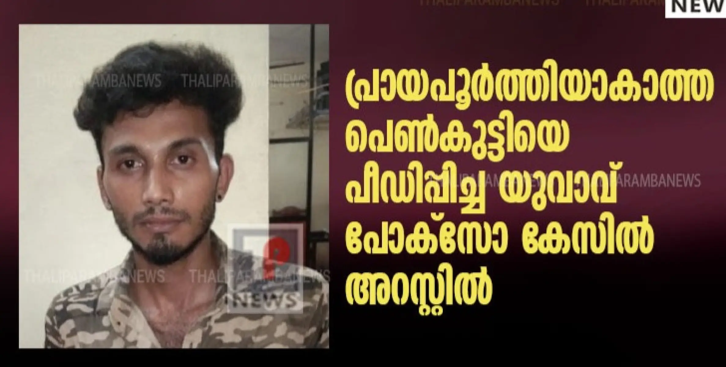 പ്രായപൂർത്തിയാകാത്ത പെൺകുട്ടിയെ പീഡിപ്പിച്ച യുവാവ് പോക്സോ കേസിൽ അറസ്റ്റിൽ