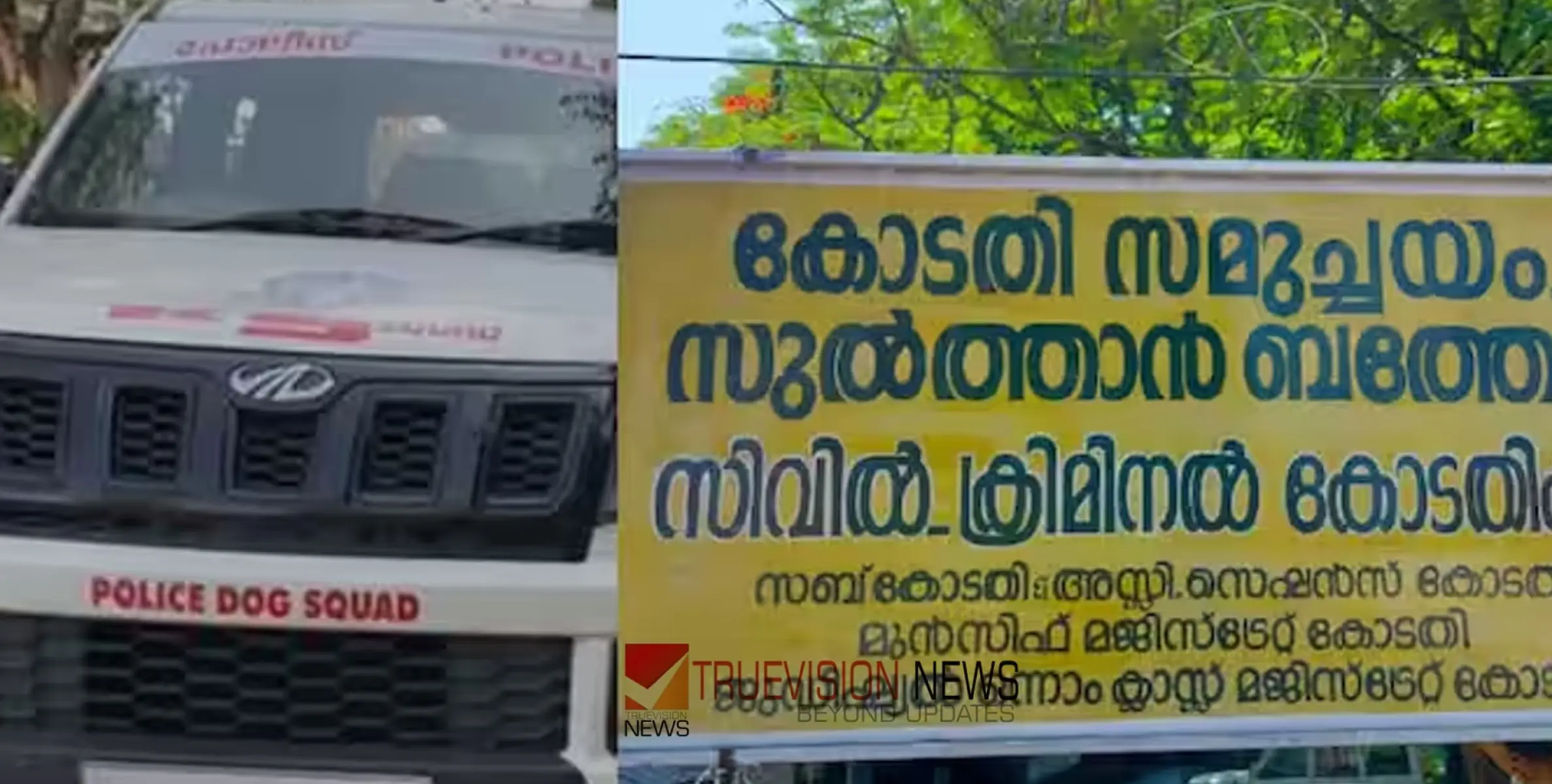 #Robbery | ബത്തേരി കോടതിയില്‍ പോപ്പർട്ടി റൂമിൽ മോഷണം; വിരലടയാള വിദഗ്ദരും ഡോഗ് സ്‌ക്വാഡുമെത്തി, അന്വേഷണം 