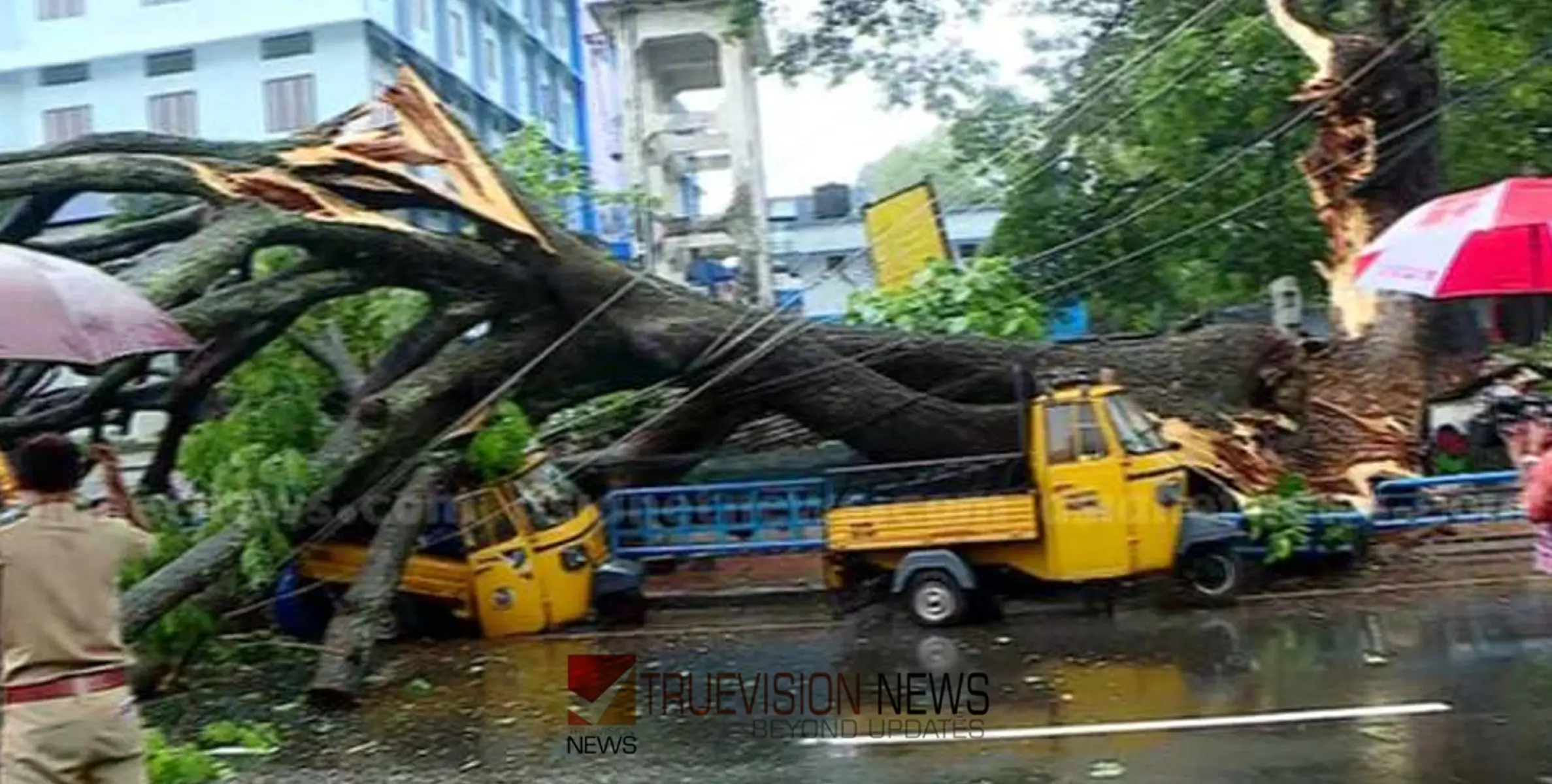 #heavyrain | ഉഗ്രശബ്ദത്തോടെ മരം പൊട്ടിവീണു; തൃശ്ശൂര്‍ സെൻ്റ് തോമസ് റോഡിൽ ഗതാഗതം തടസ്സപ്പെട്ടു