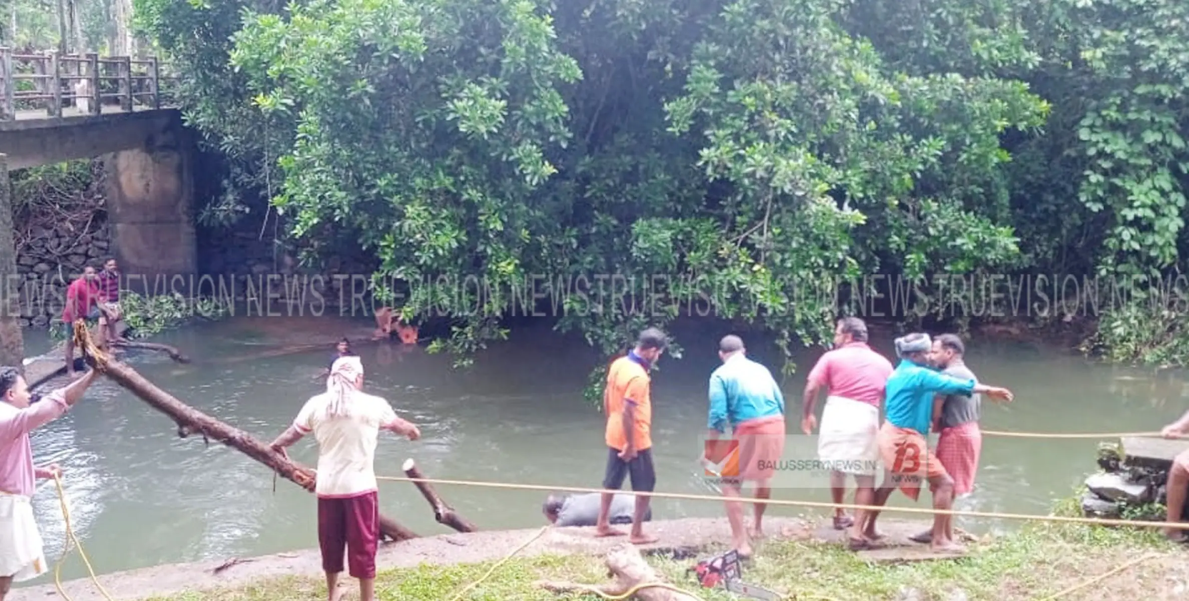  മഞ്ഞപ്പുഴയിൽ ഒഴുക്കിൽപ്പെട്ടെത്തിയ ചേര് മരംമുറിച്ച് മാറ്റി