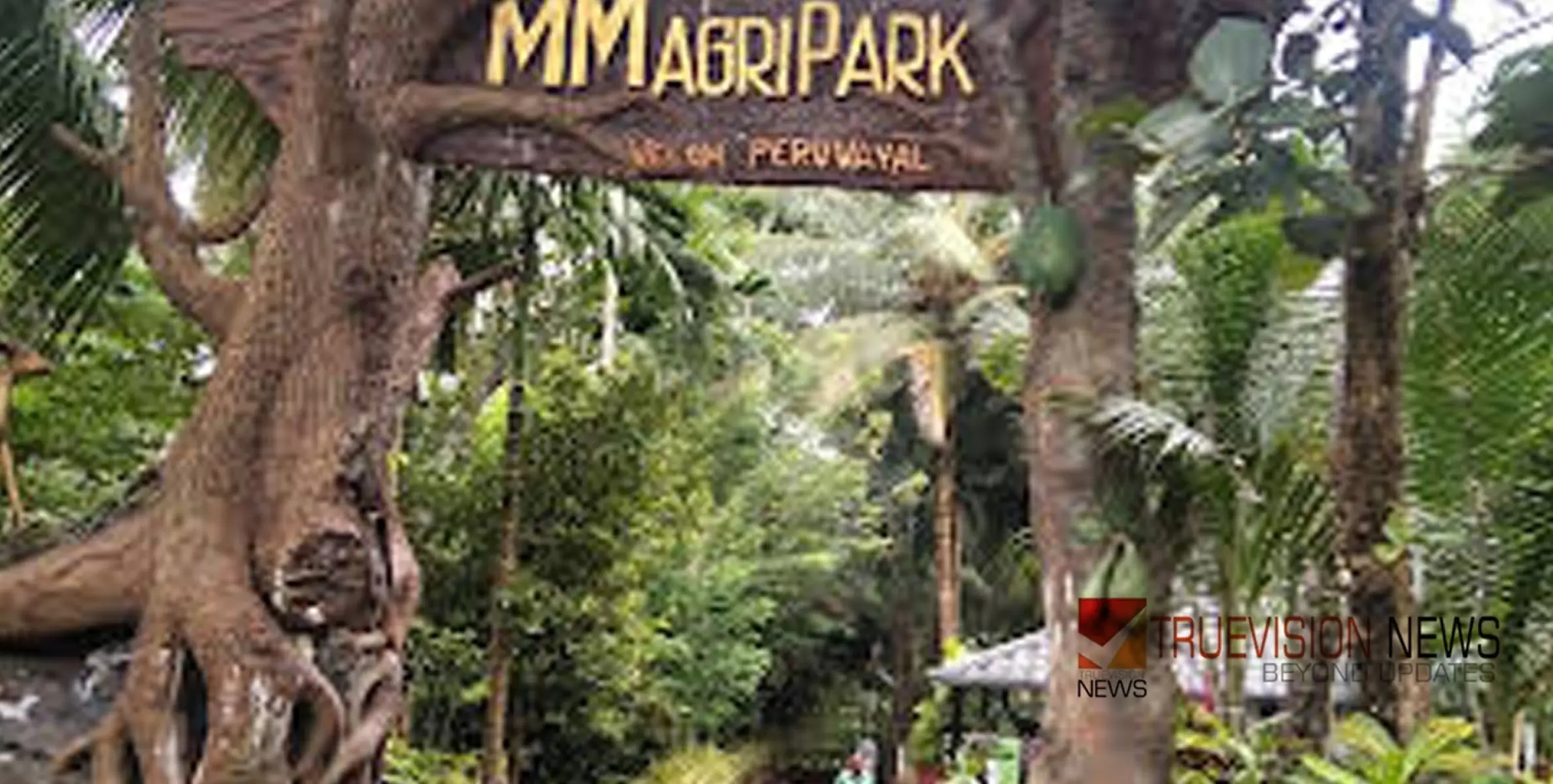 #MMAgriPark | വേഗം വന്നോളൂ; വേളത്തെ എം എം അഗ്രി പാർക്കിലേക്ക്, ഇനി ഉല്ലാസത്തിന്റെ നാളുകൾ