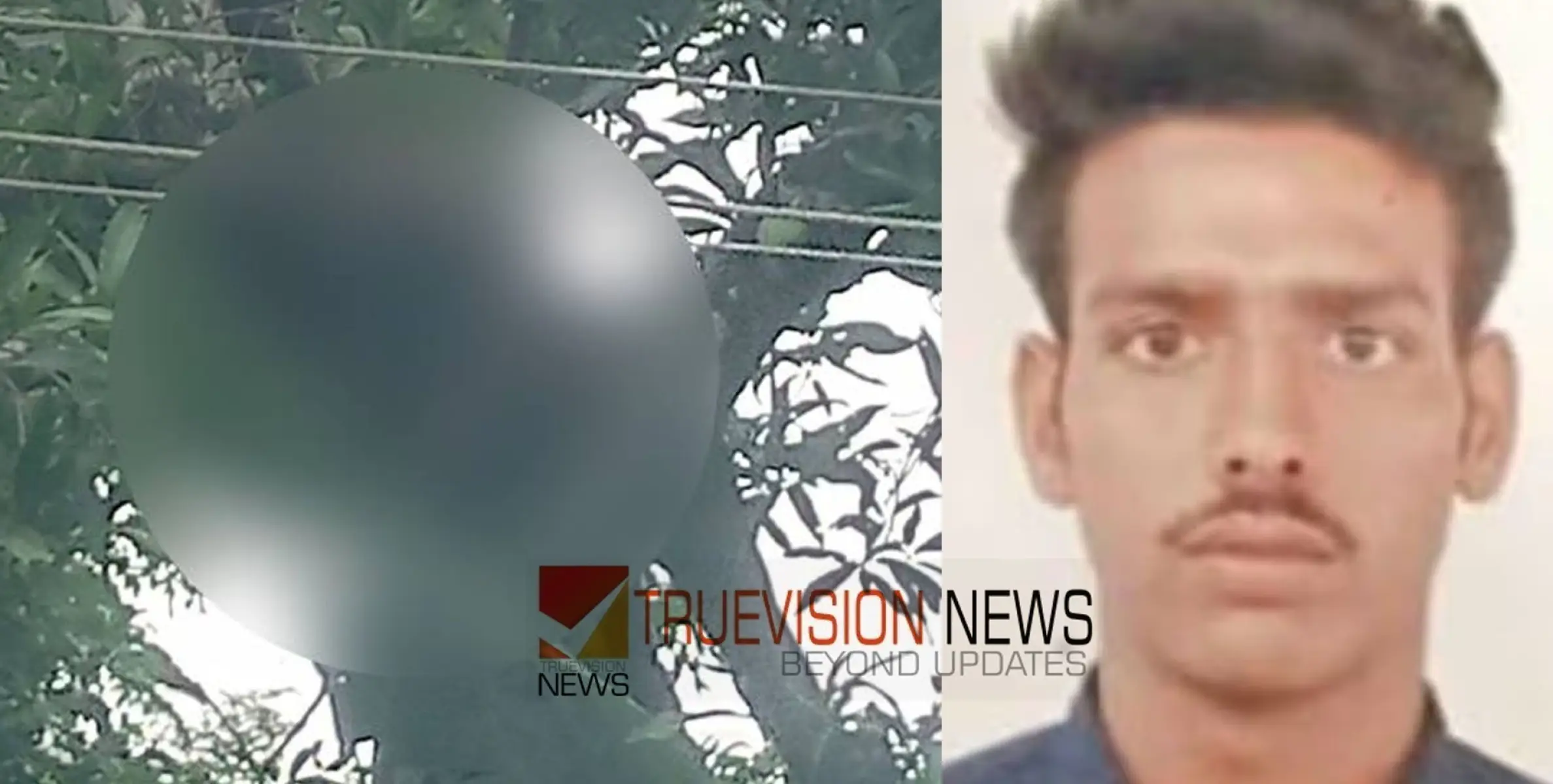 #shockdeath | മാങ്ങ പറിക്കുന്നതിനിടയില്‍ വൈദ്യുതി ലൈനില്‍ നിന്ന്‌ ഷോക്കേറ്റ് യുവാവ് മരിച്ചു